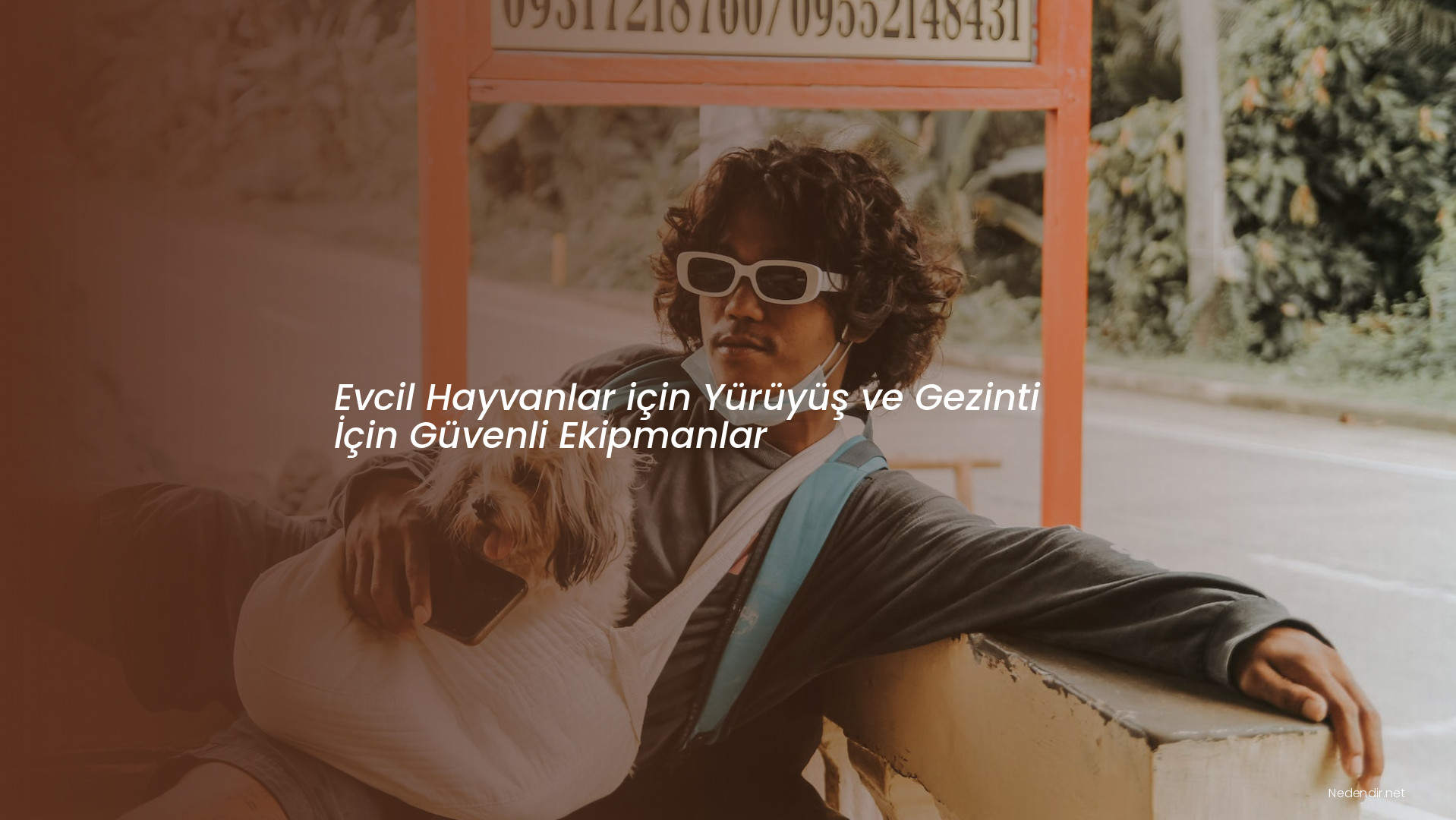 Evcil Hayvanlar için Yürüyüş ve Gezinti İçin Güvenli Ekipmanlar