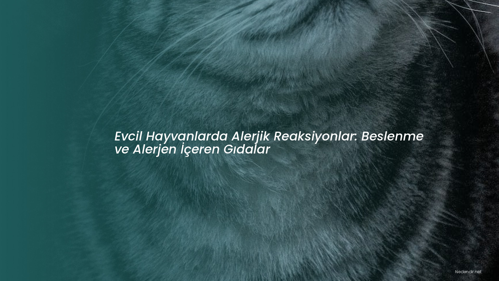 Evcil Hayvanlarda Alerjik Reaksiyonlar: Beslenme ve Alerjen İçeren Gıdalar