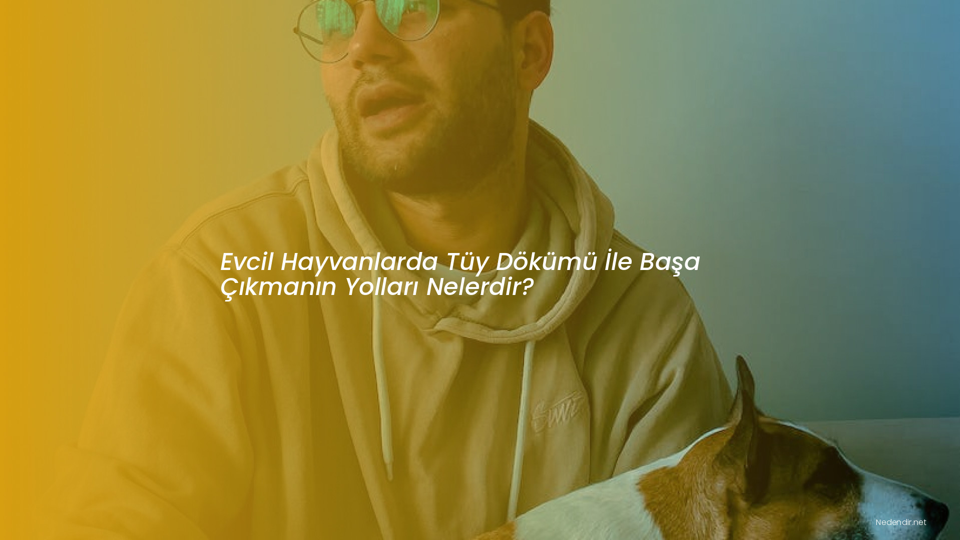 Evcil Hayvanlarda Tüy Dökümü İle Başa Çıkmanın Yolları Nelerdir?