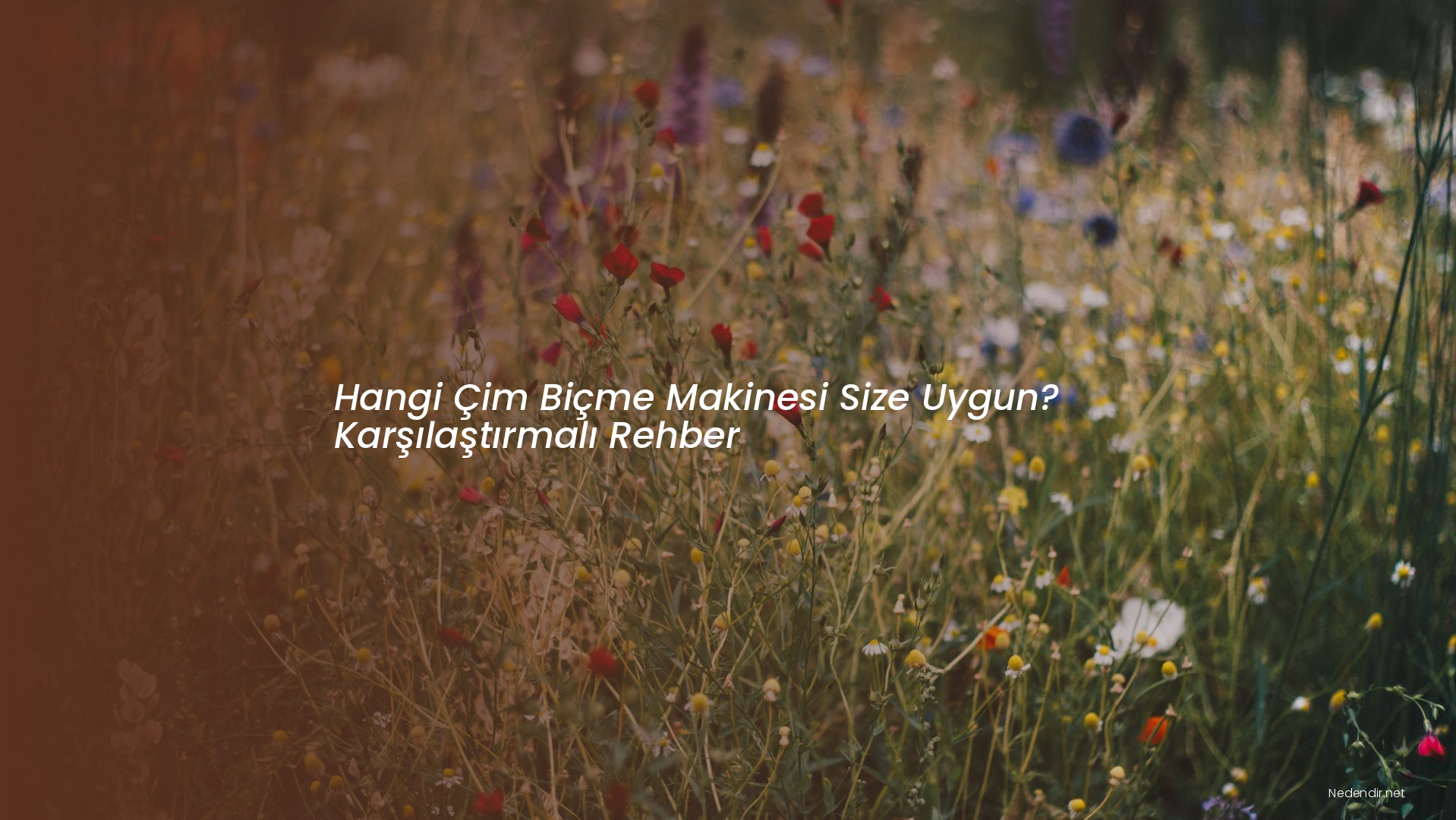 Hangi Çim Biçme Makinesi Size Uygun? Karşılaştırmalı Rehber