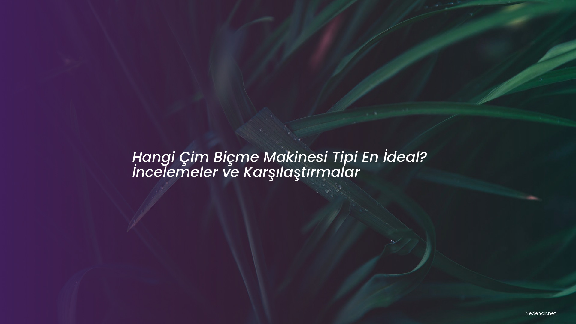 Hangi Çim Biçme Makinesi Tipi En İdeal? İncelemeler ve Karşılaştırmalar