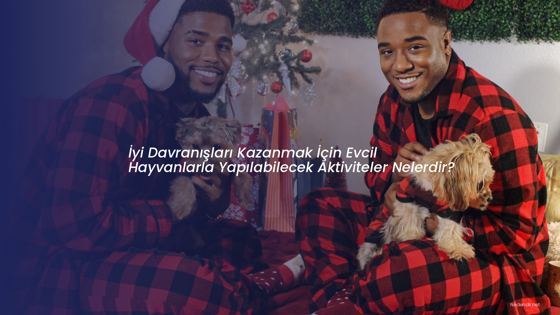 İyi Davranışları Kazanmak İçin Evcil Hayvanlarla Yapılabilecek Aktiviteler Nelerdir?