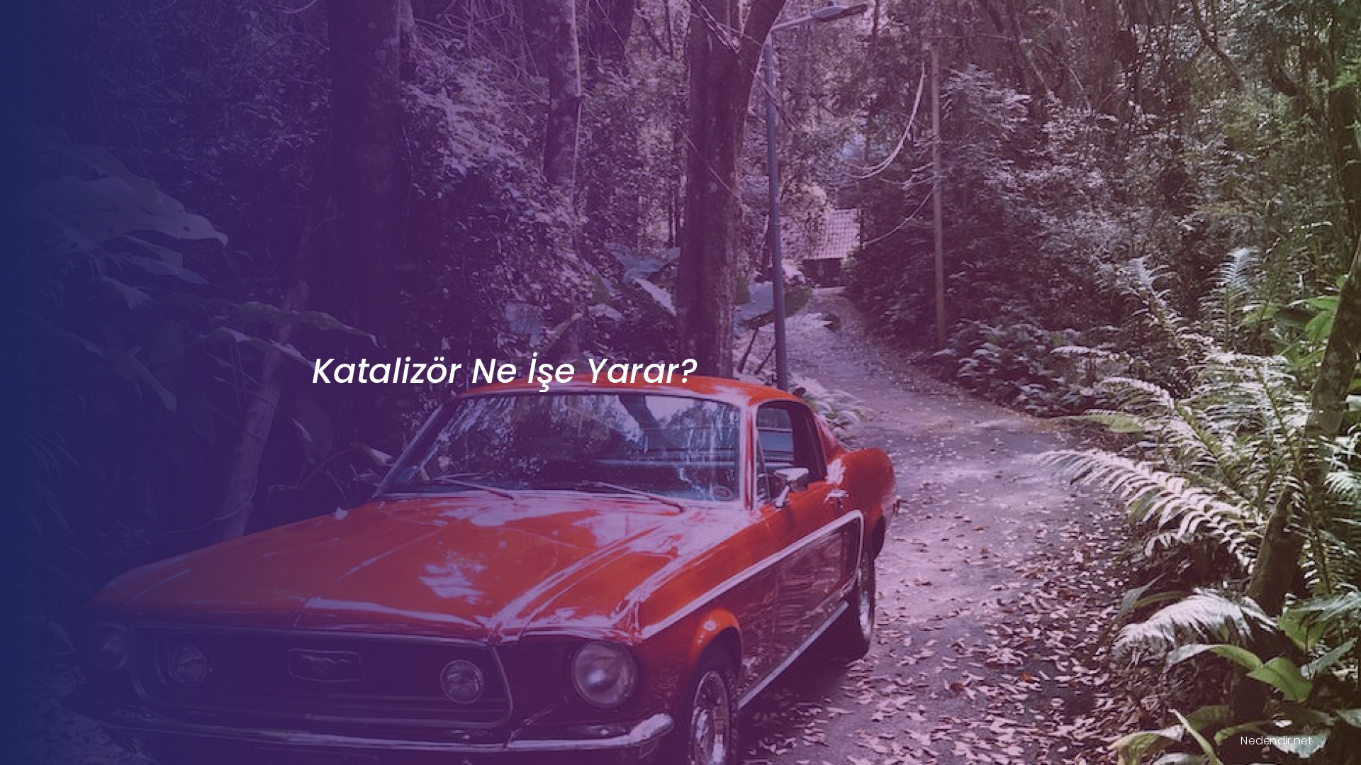 Katalizör Ne İşe Yarar?