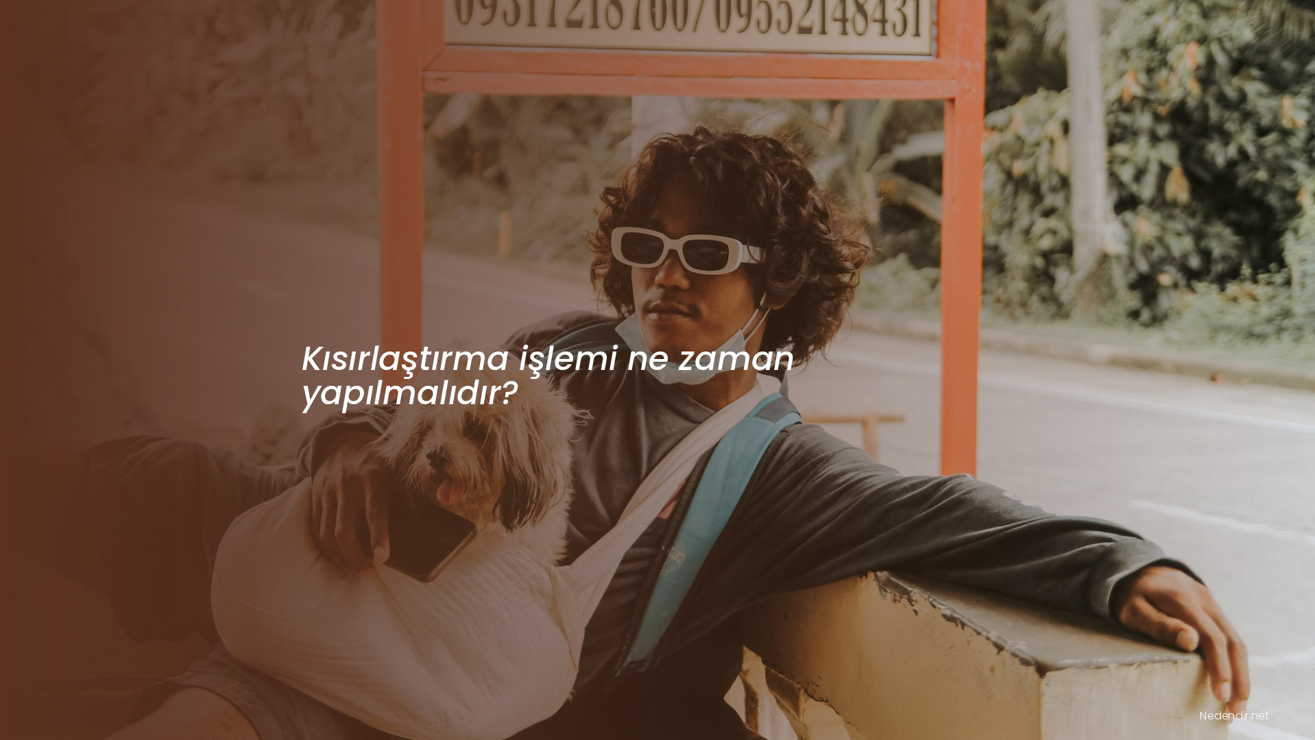 Kısırlaştırma işlemi ne zaman yapılmalıdır?