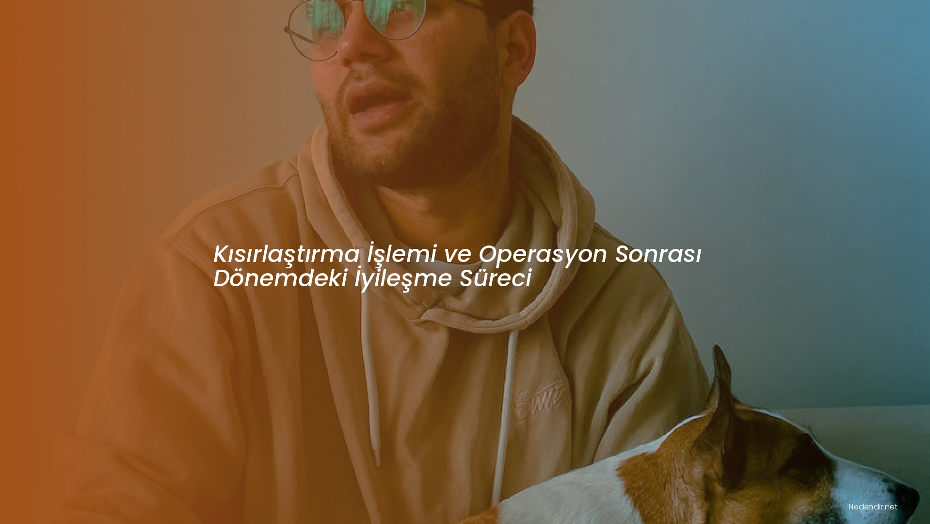 Kısırlaştırma İşlemi ve Operasyon Sonrası Dönemdeki İyileşme Süreci