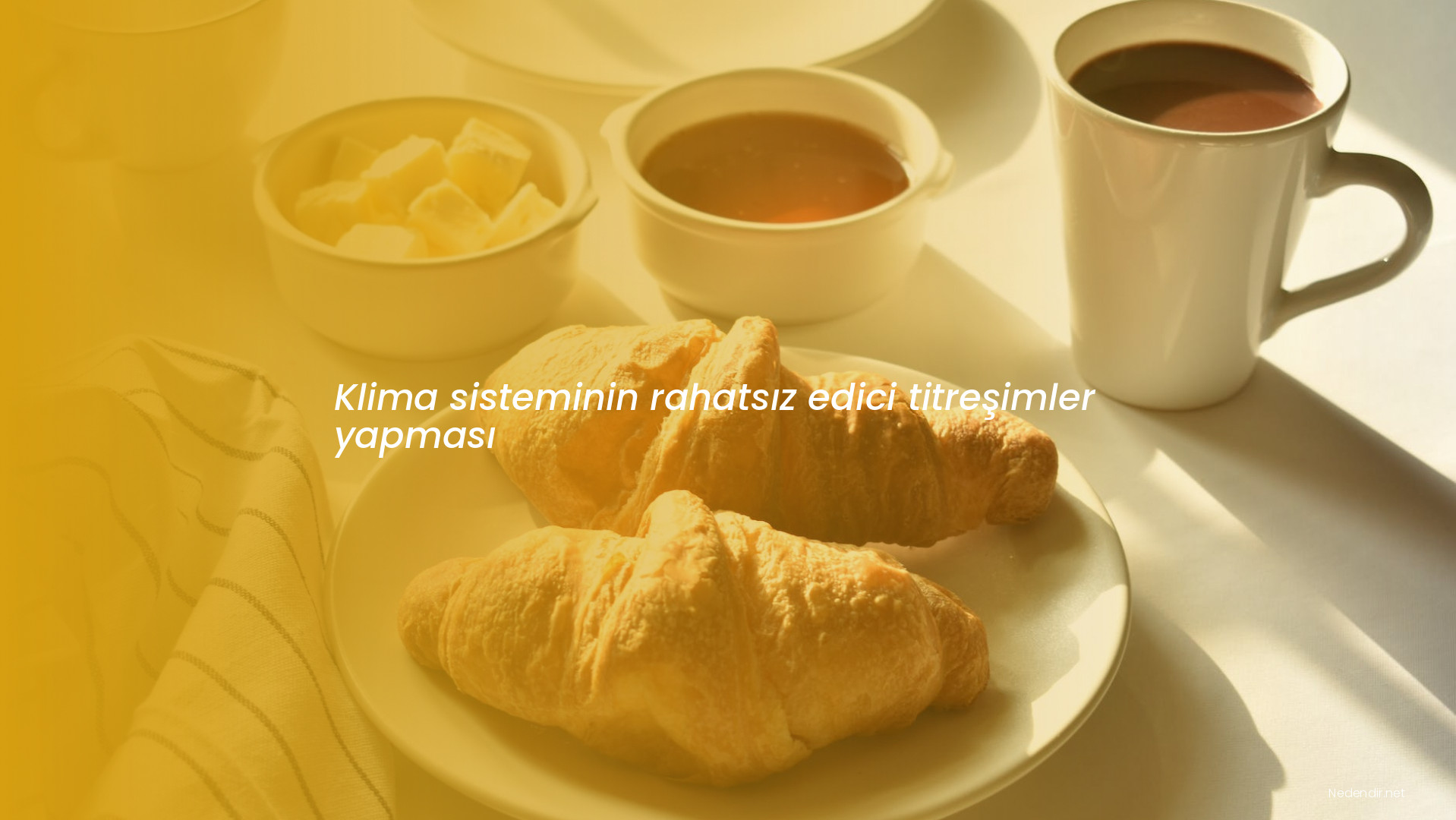Klima sisteminin rahatsız edici titreşimler yapması