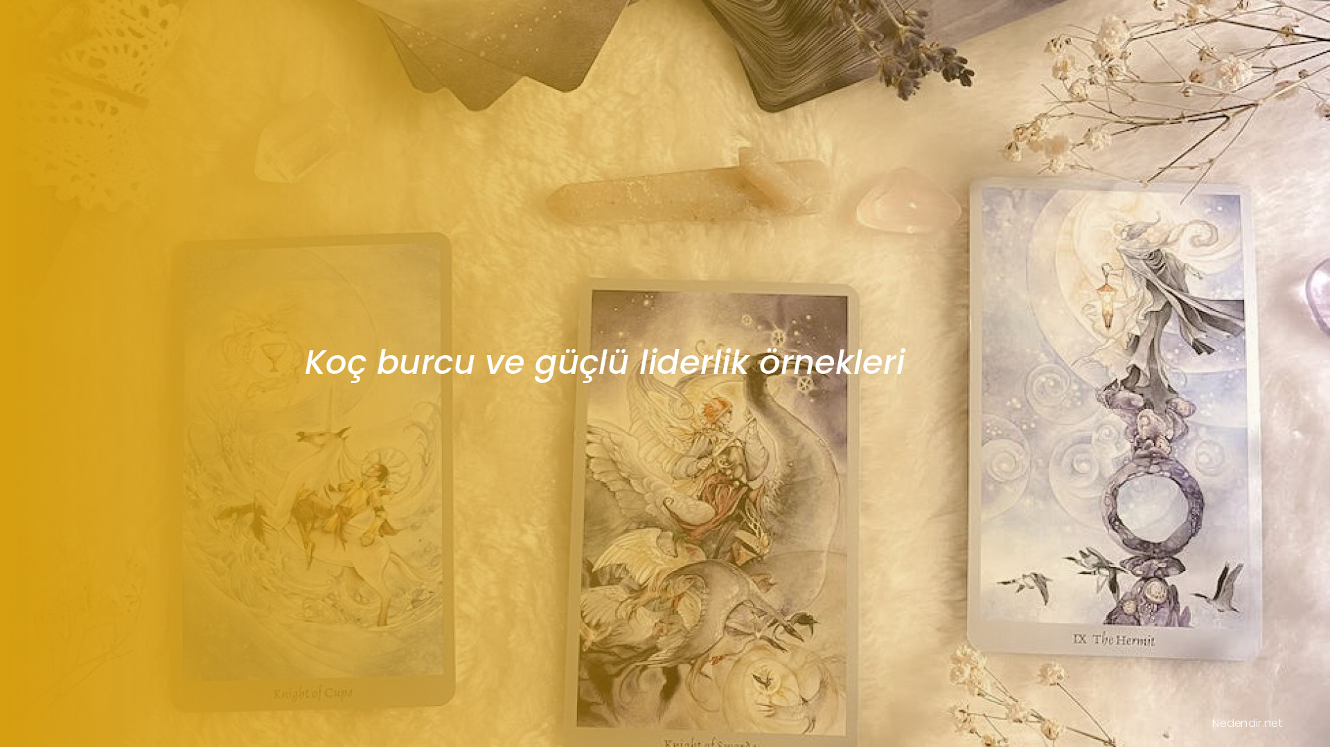 Koç burcu ve güçlü liderlik örnekleri