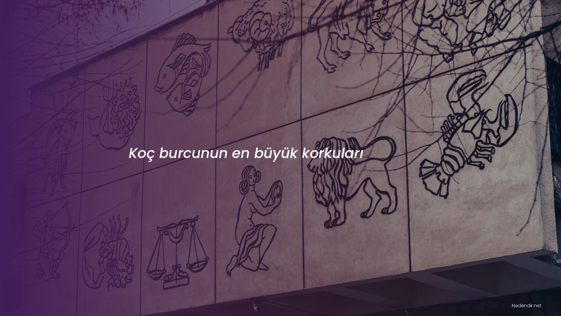 Koç burcunun en büyük korkuları