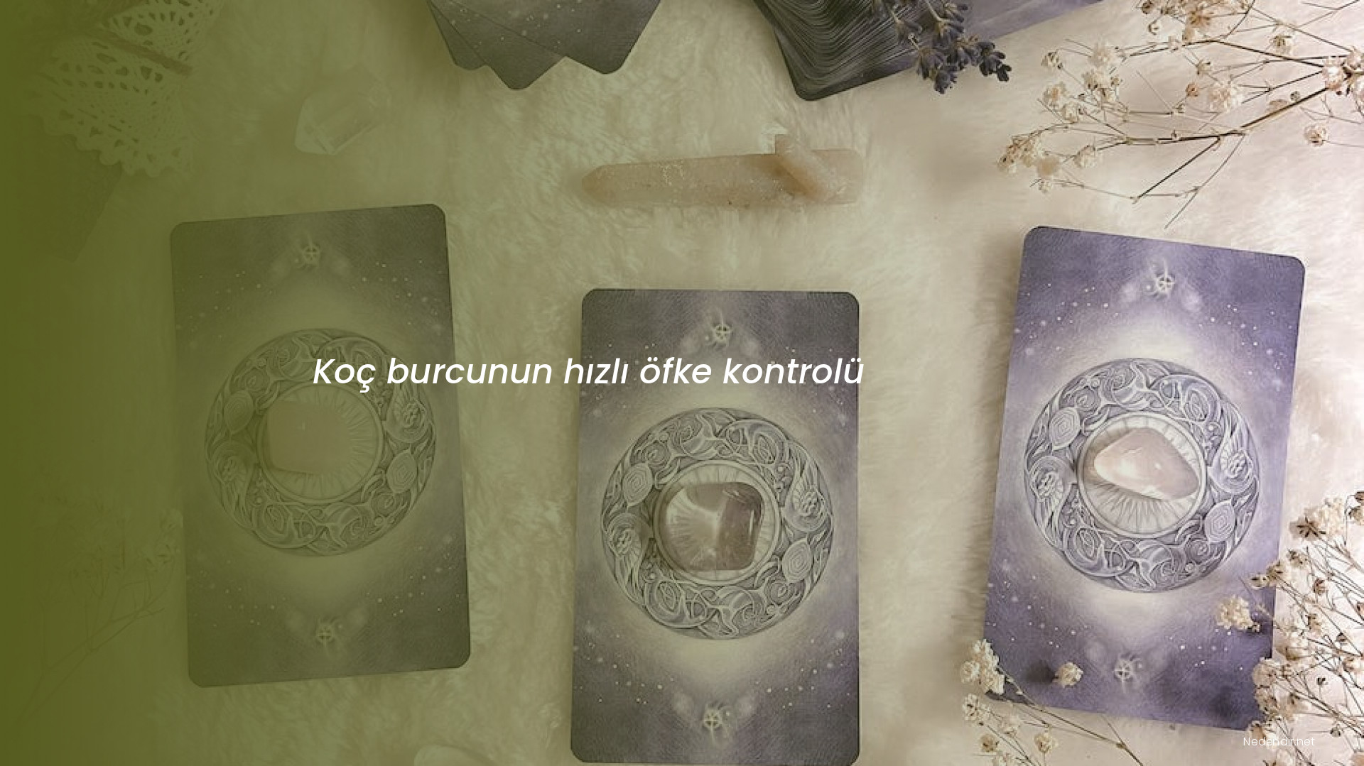 Koç burcunun hızlı öfke kontrolü