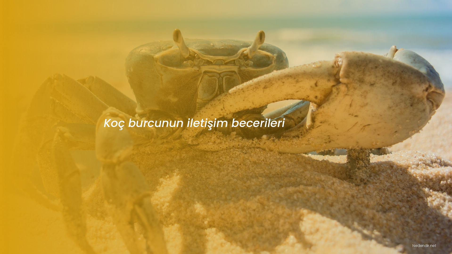 Koç burcunun iletişim becerileri