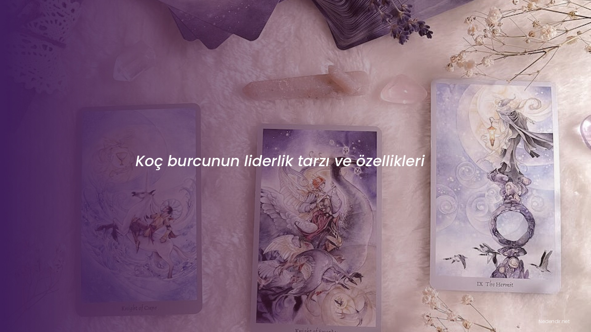 Koç burcunun liderlik tarzı ve özellikleri