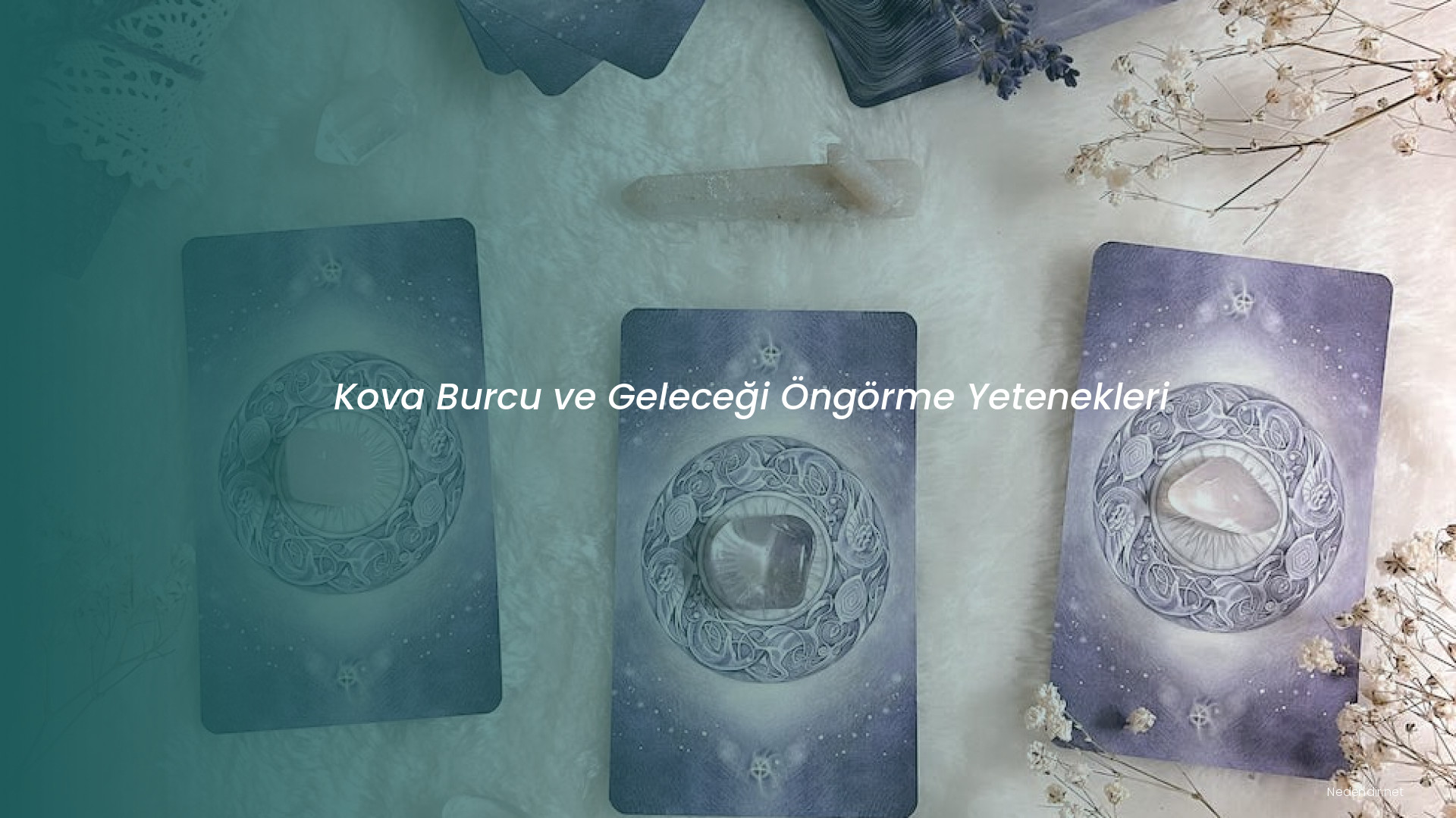 Kova Burcu ve Geleceği Öngörme Yetenekleri Kova Burcu ve Geleceği Öngörme Yetenekleri