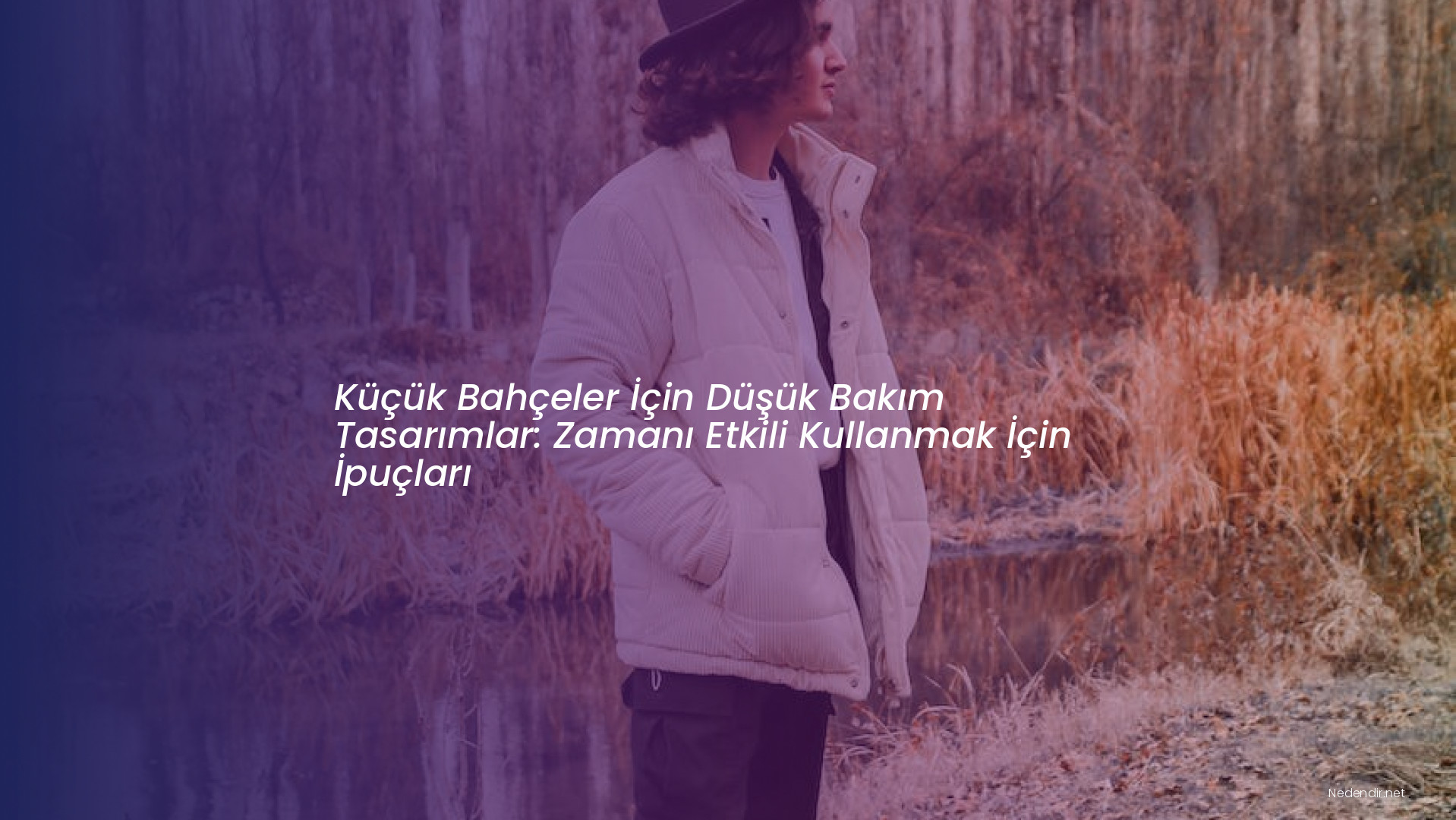 Küçük Bahçeler İçin Düşük Bakım Tasarımlar: Zamanı Etkili Kullanmak İçin İpuçları