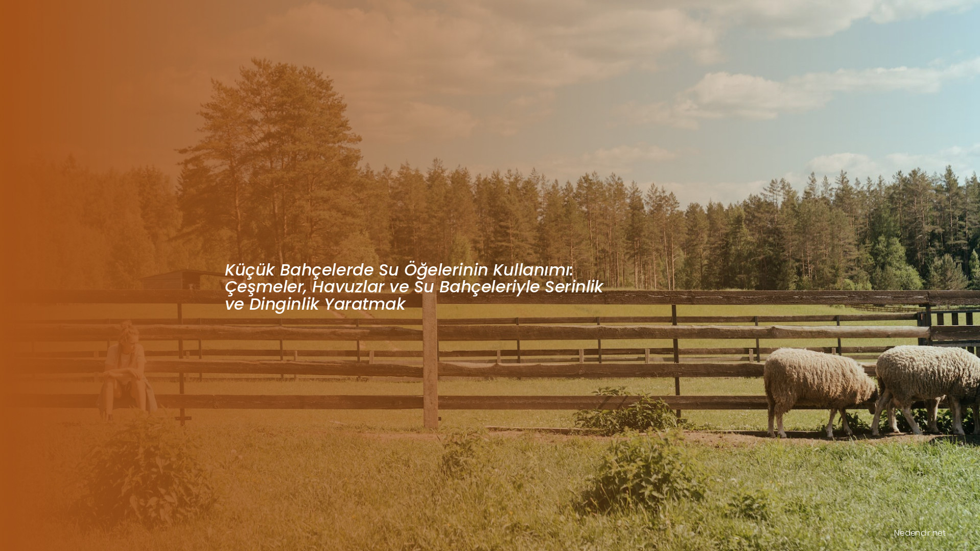 Küçük Bahçelerde Su Öğelerinin Kullanımı: Çeşmeler, Havuzlar ve Su Bahçeleriyle Serinlik ve Dinginlik Yaratmak