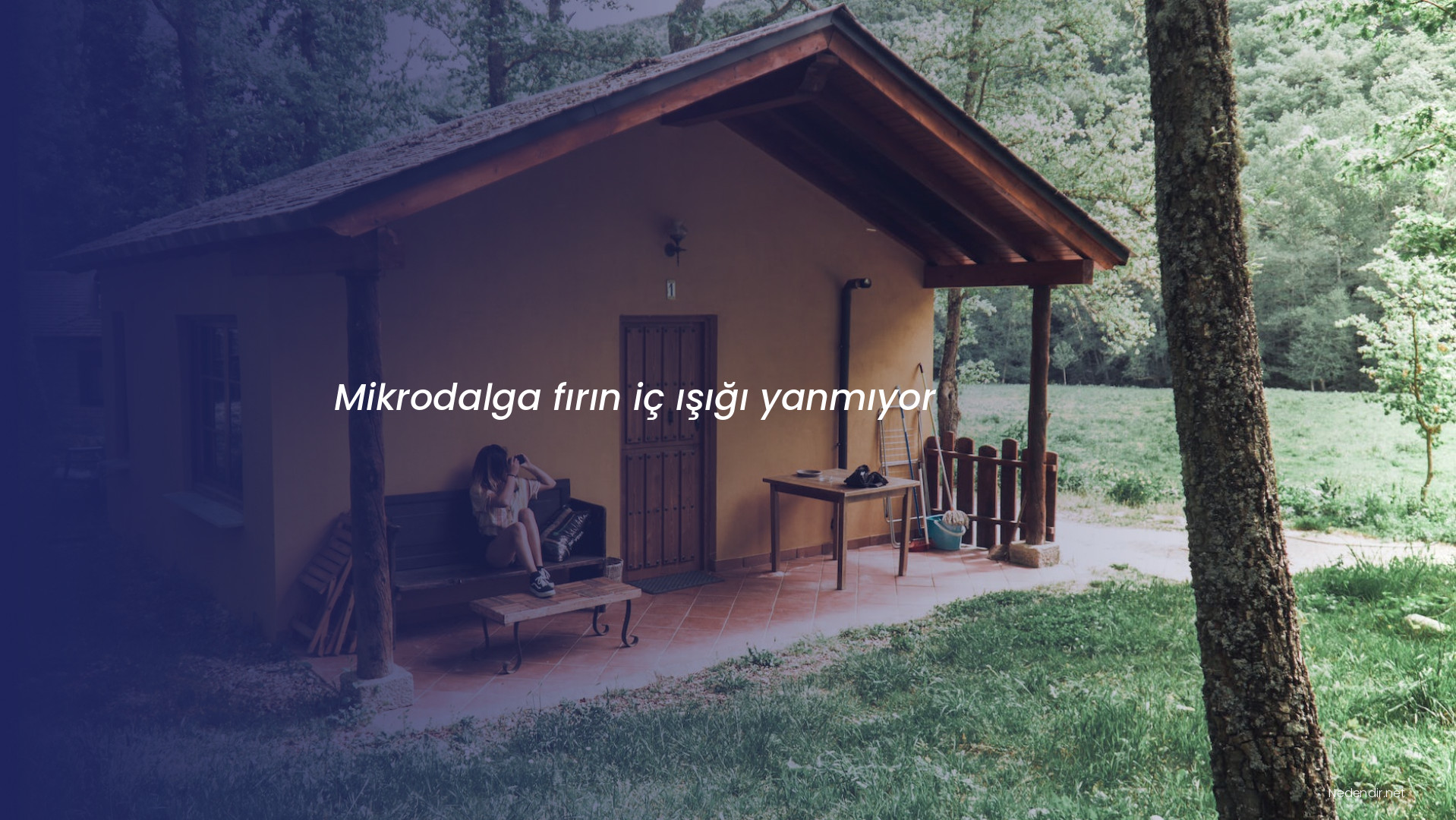 Mikrodalga fırın iç ışığı yanmıyor