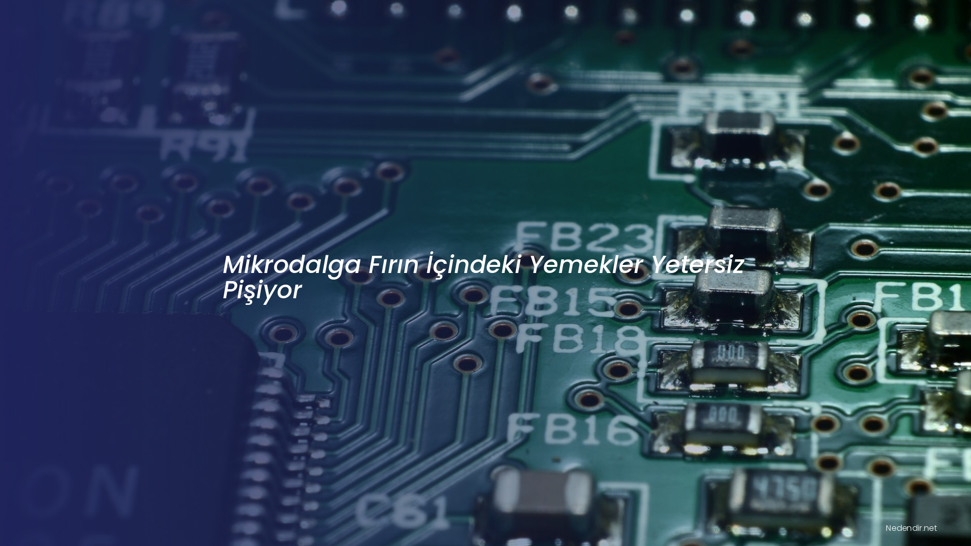 Mikrodalga Fırın İçindeki Yemekler Yetersiz Pişiyor