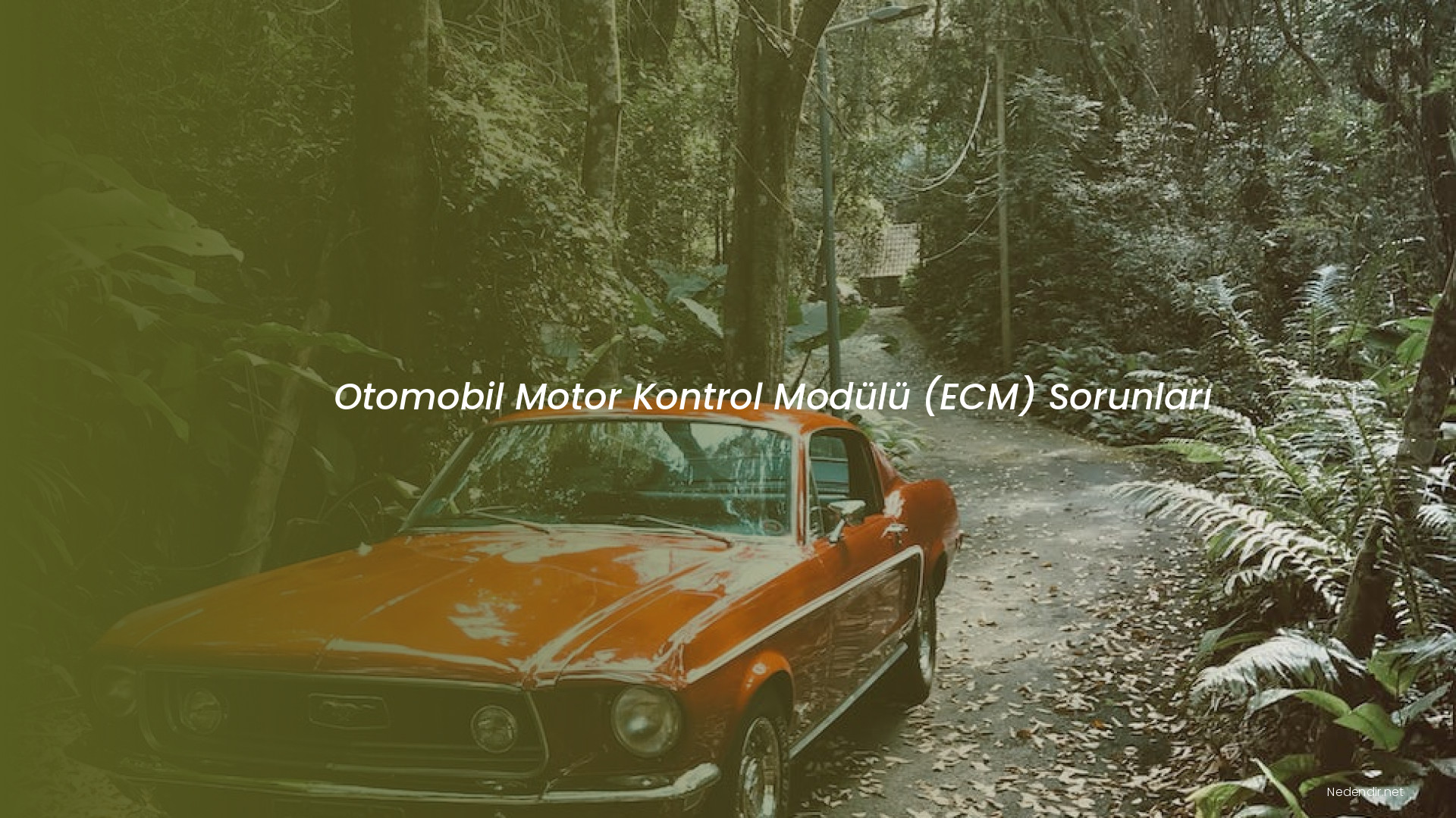 Otomobil Motor Kontrol Modülü (ECM) Sorunları