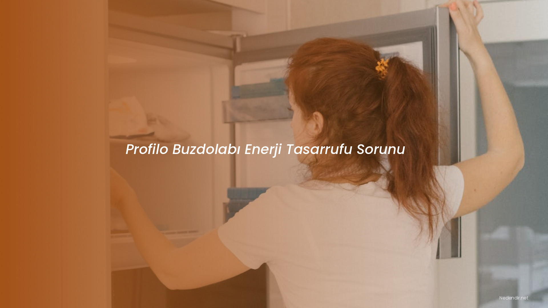 Profilo Buzdolabı Enerji Tasarrufu Sorunu