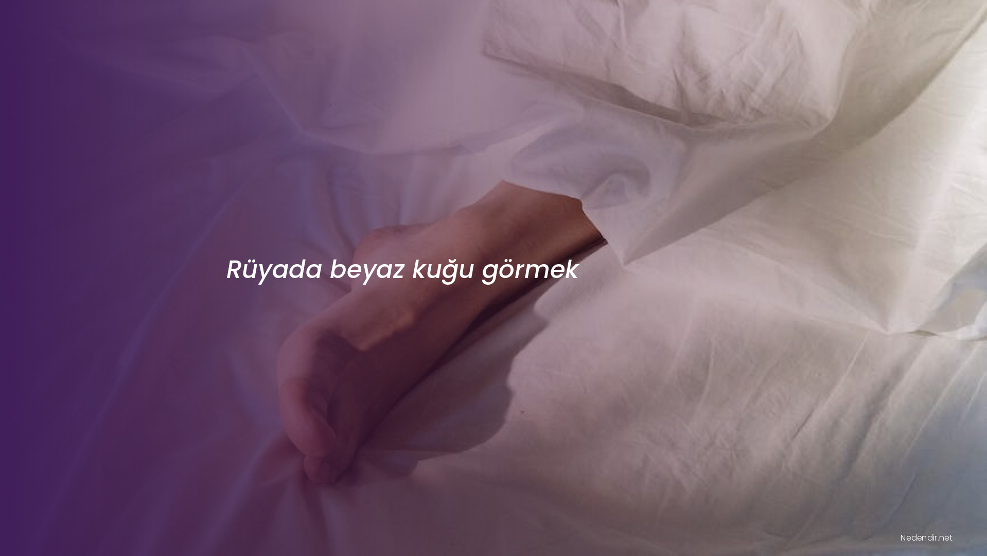 Rüyada beyaz kuğu görmek