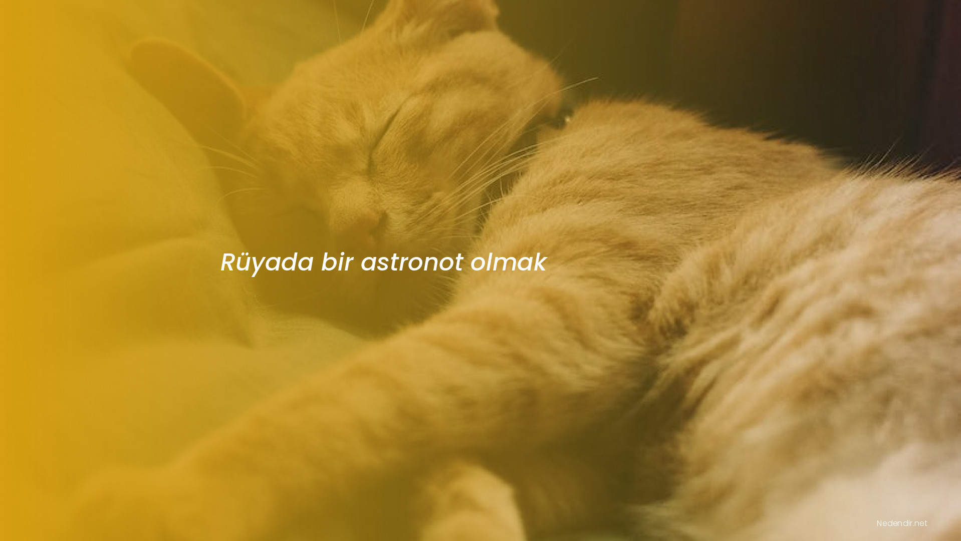 Rüyada bir astronot olmak