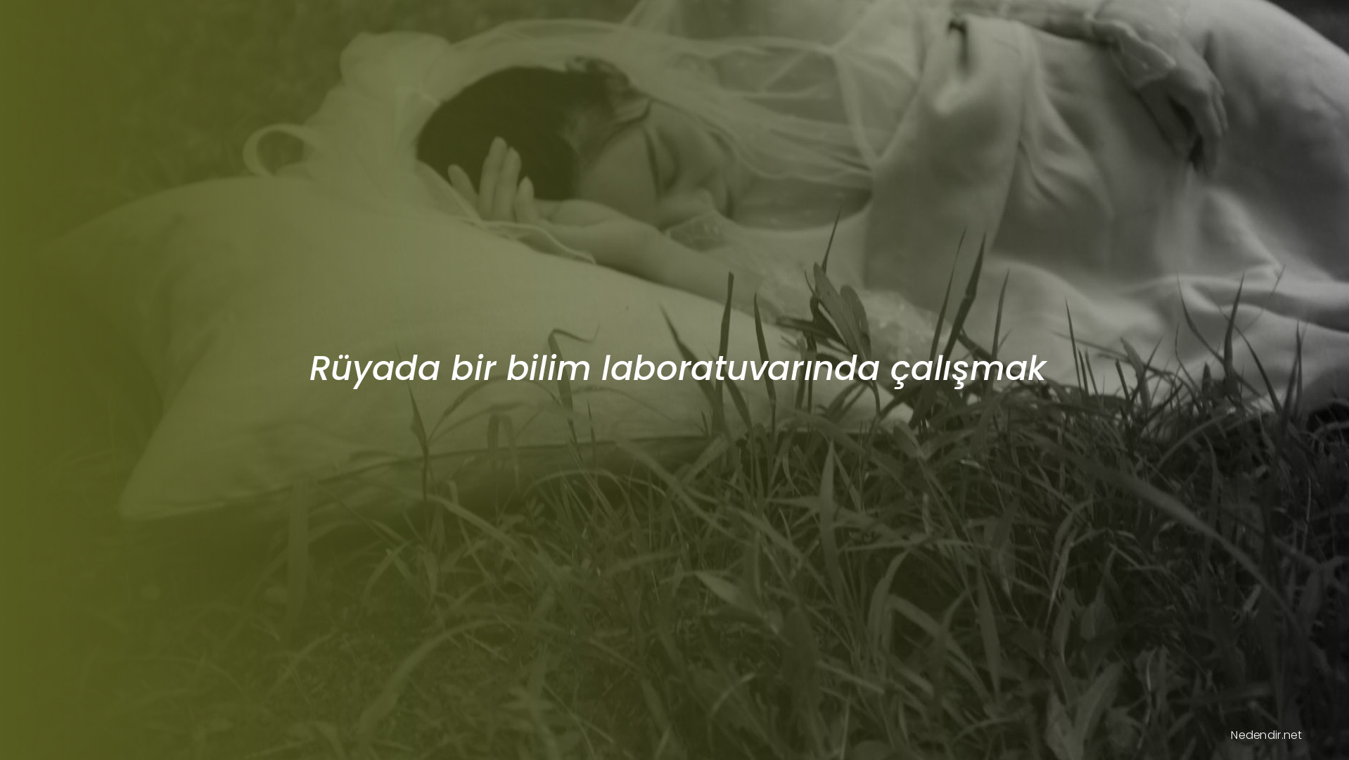 Rüyada bir bilim laboratuvarında çalışmak