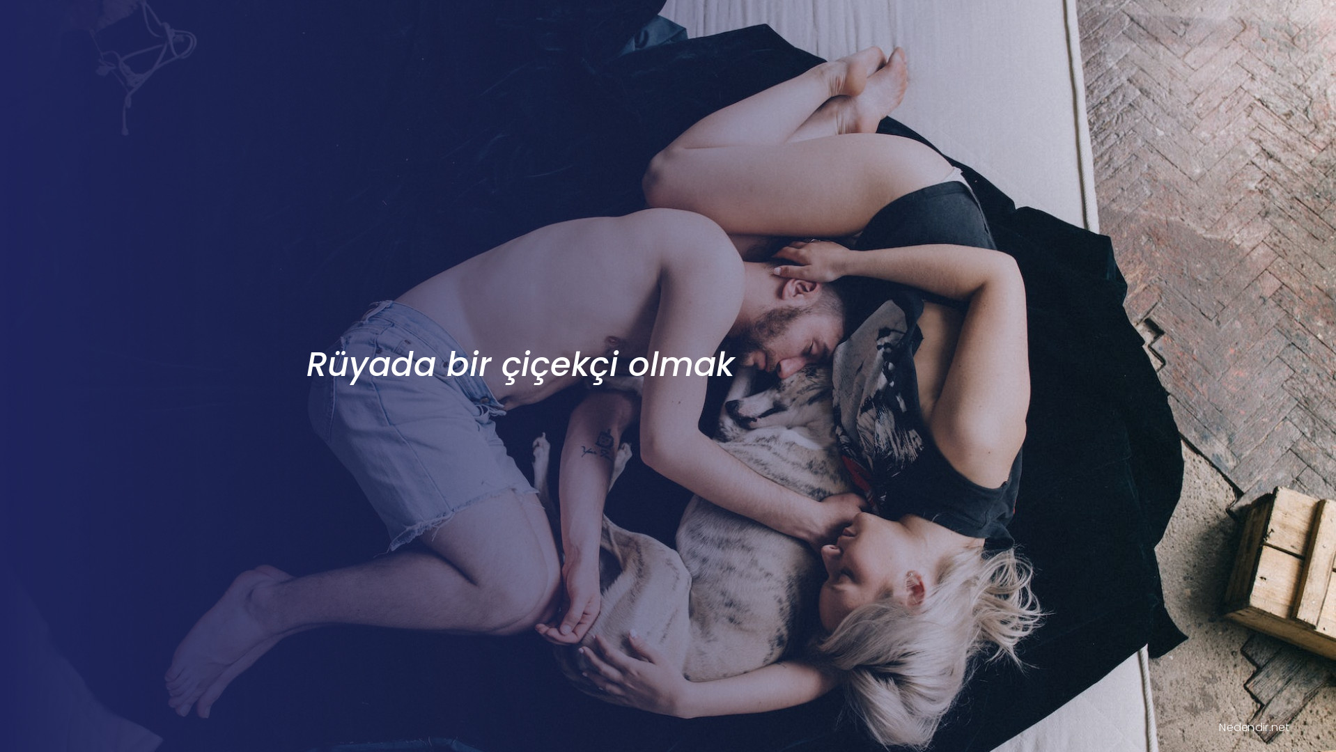 Rüyada bir çiçekçi olmak