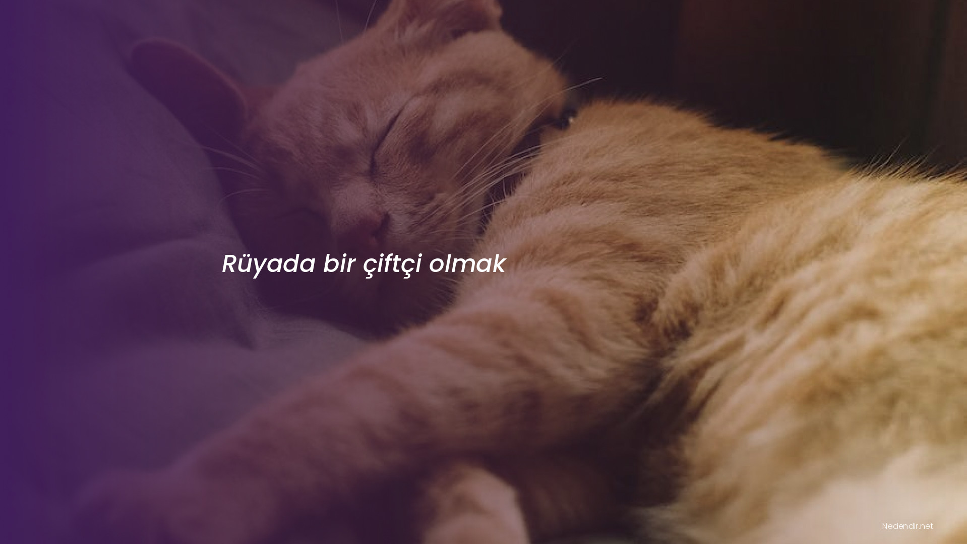 Rüyada bir çiftçi olmak Rüyada bir çiftçi olmak