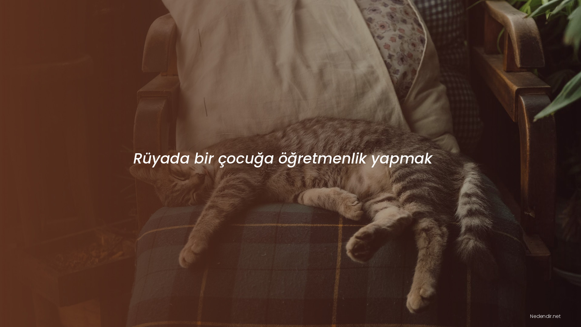 Rüyada bir çocuğa öğretmenlik yapmak