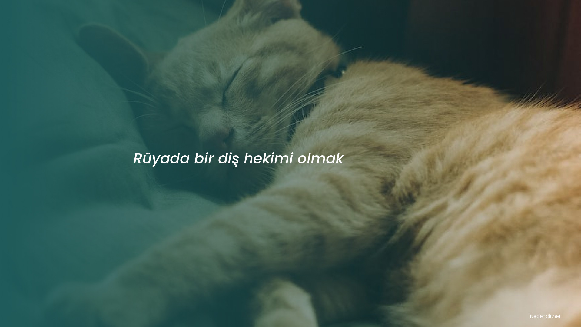 Rüyada bir diş hekimi olmak Rüyada bir diş hekimi olmak