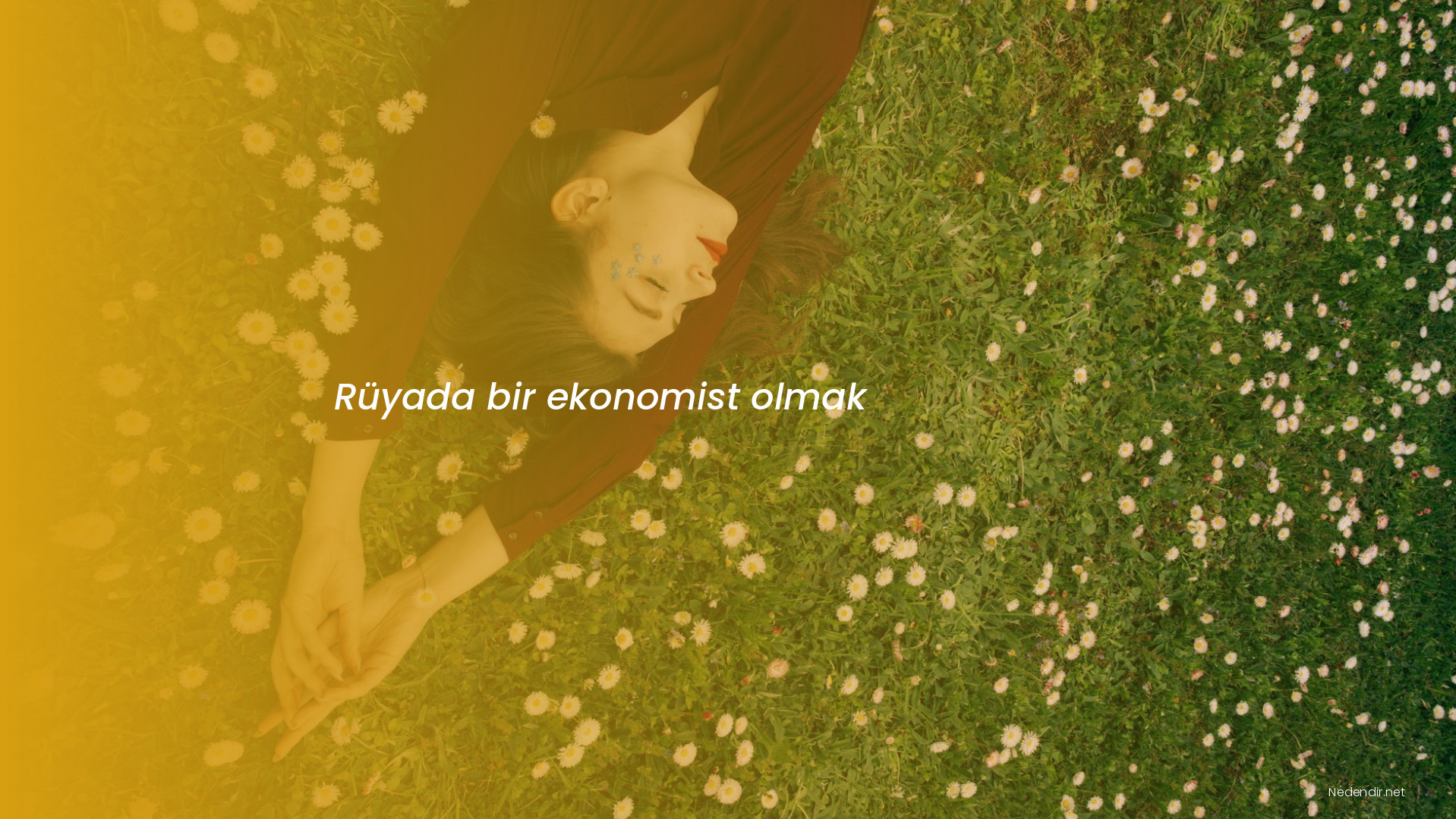 Rüyada bir ekonomist olmak