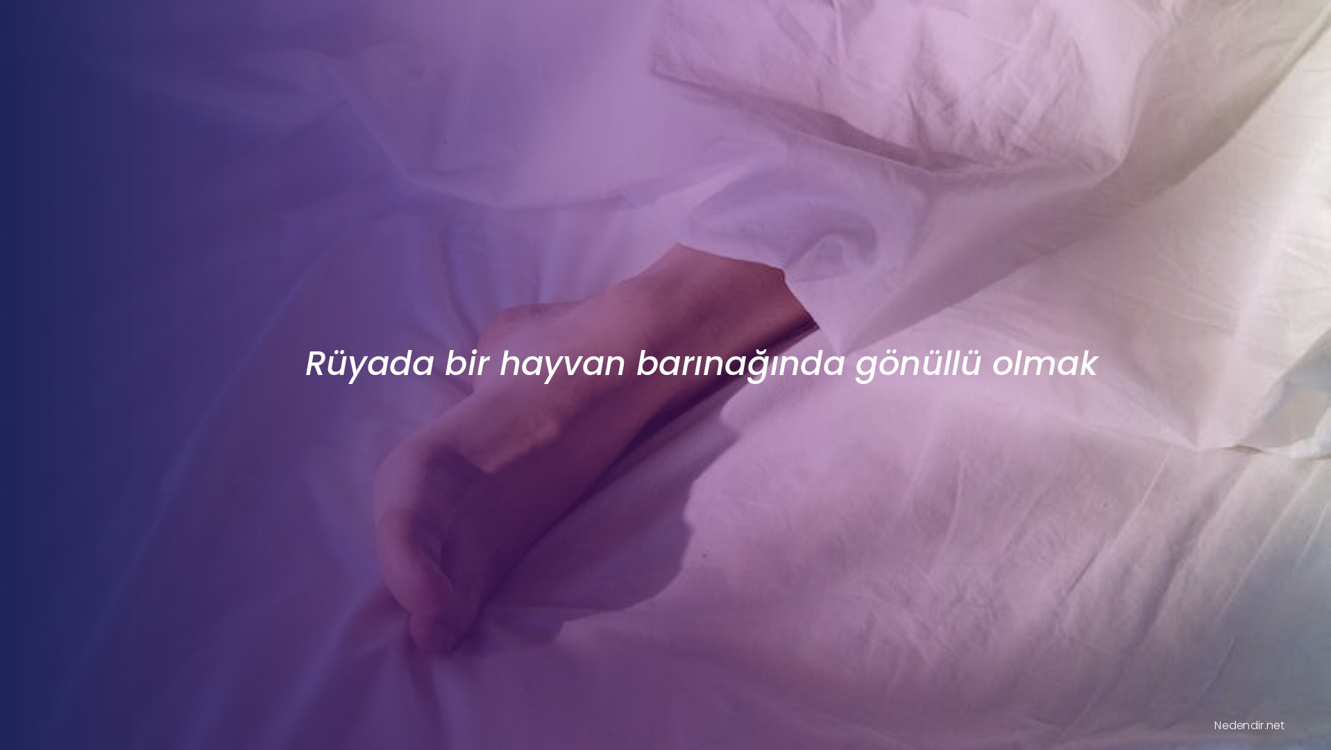 Rüyada bir hayvan barınağında gönüllü olmak