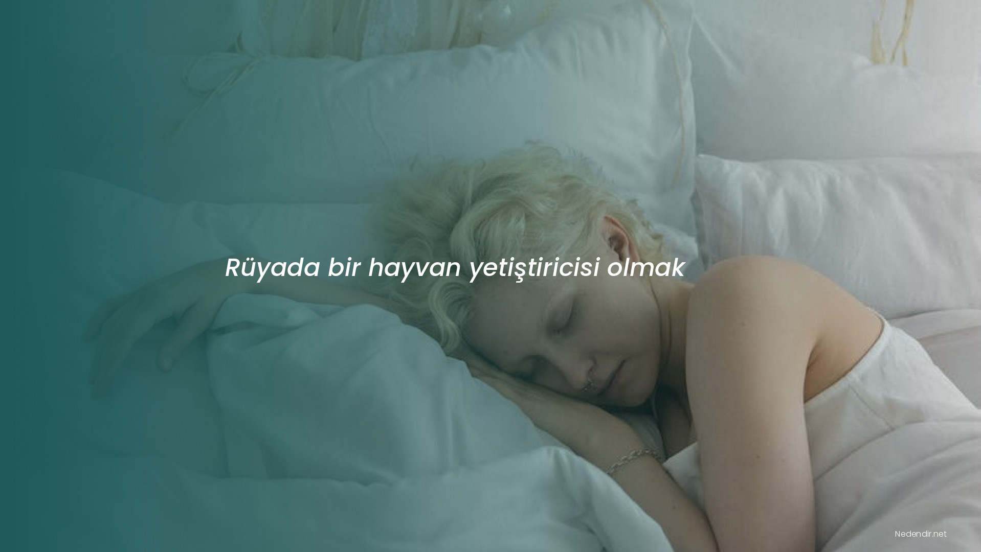 Rüyada bir hayvan yetiştiricisi olmak Rüyada bir hayvan yetiştiricisi olmak