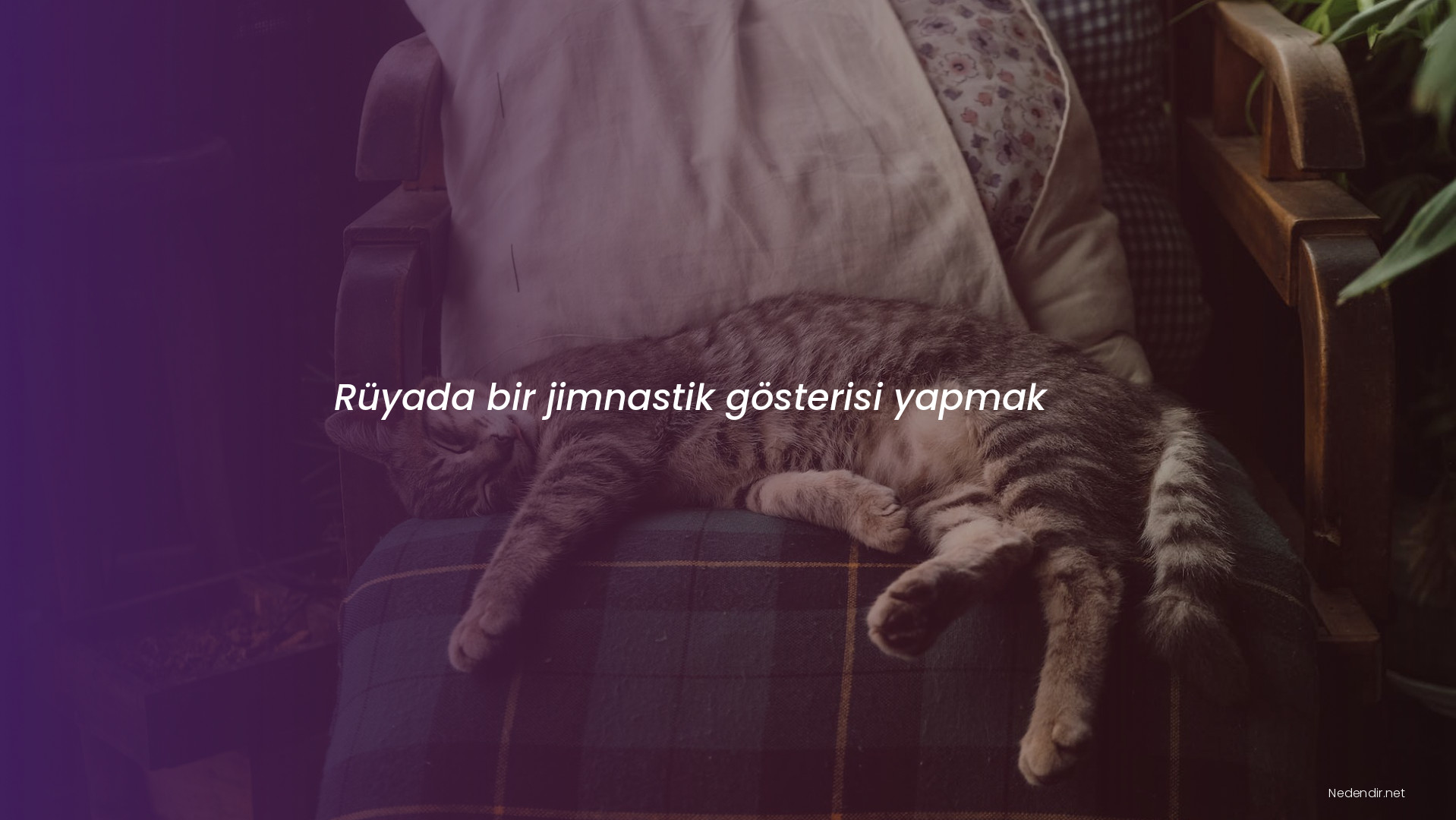 Rüyada bir jimnastik gösterisi yapmak