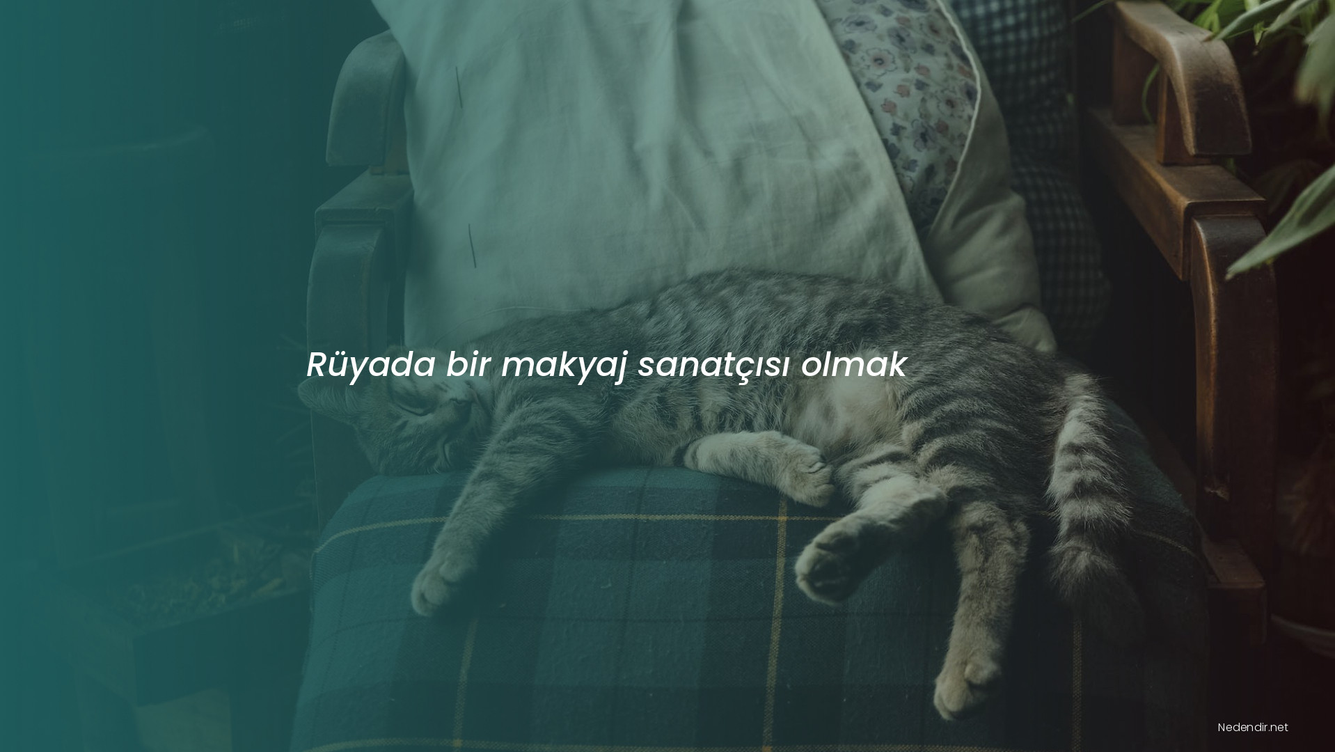 Rüyada bir makyaj sanatçısı olmak