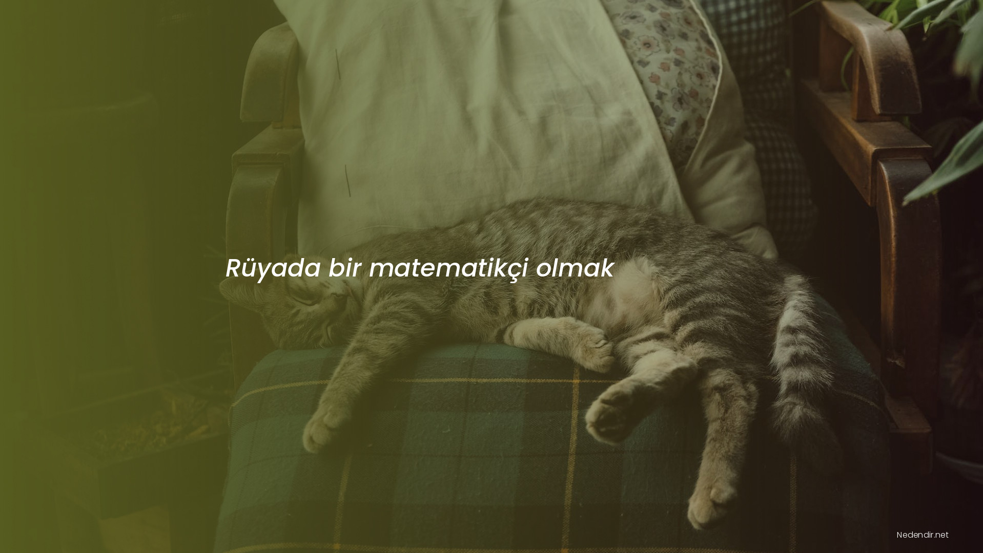 Rüyada bir matematikçi olmak