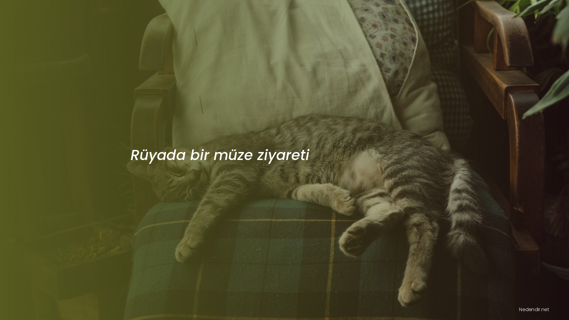 Rüyada bir müze ziyareti