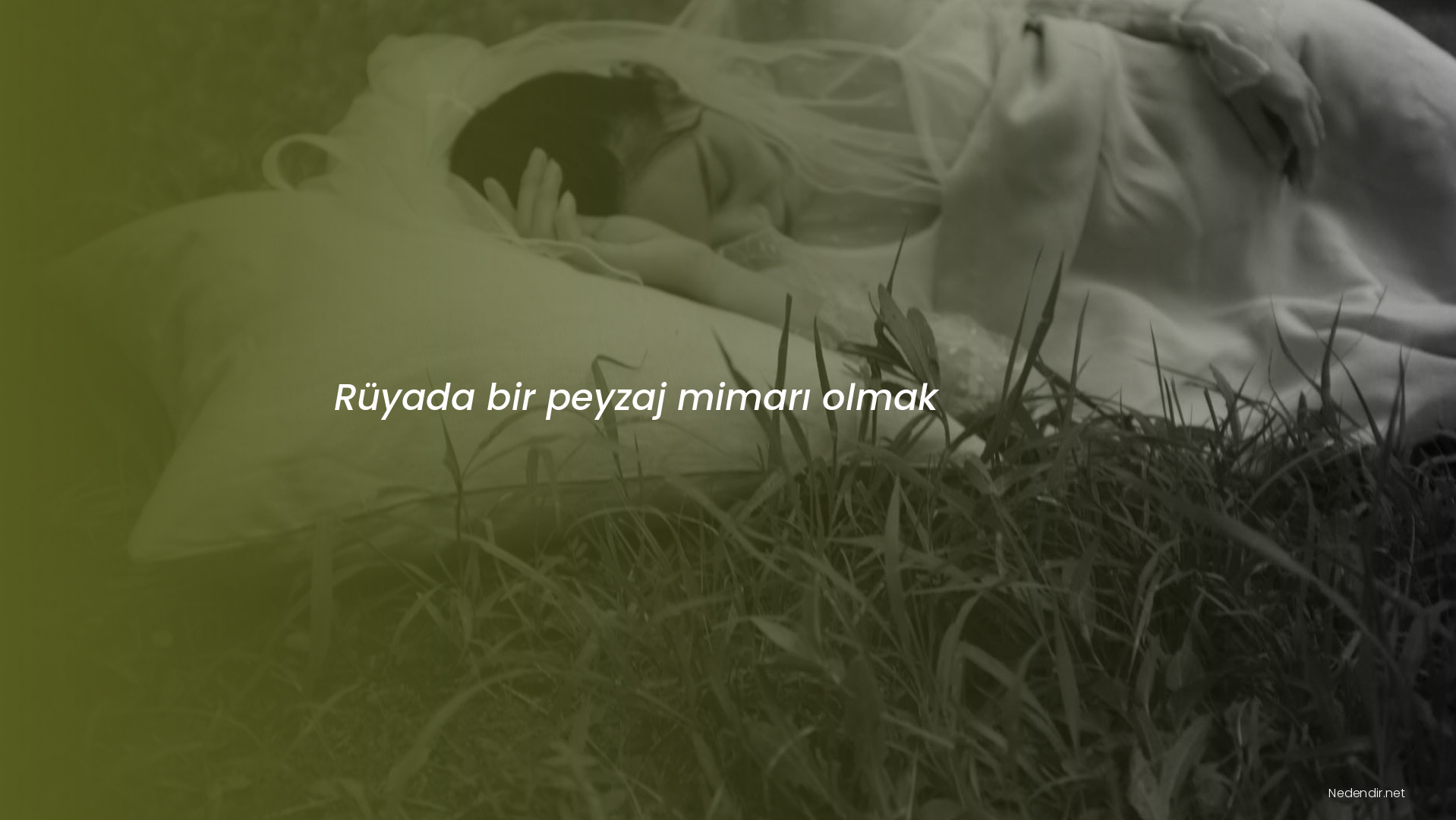 Rüyada bir peyzaj mimarı olmak