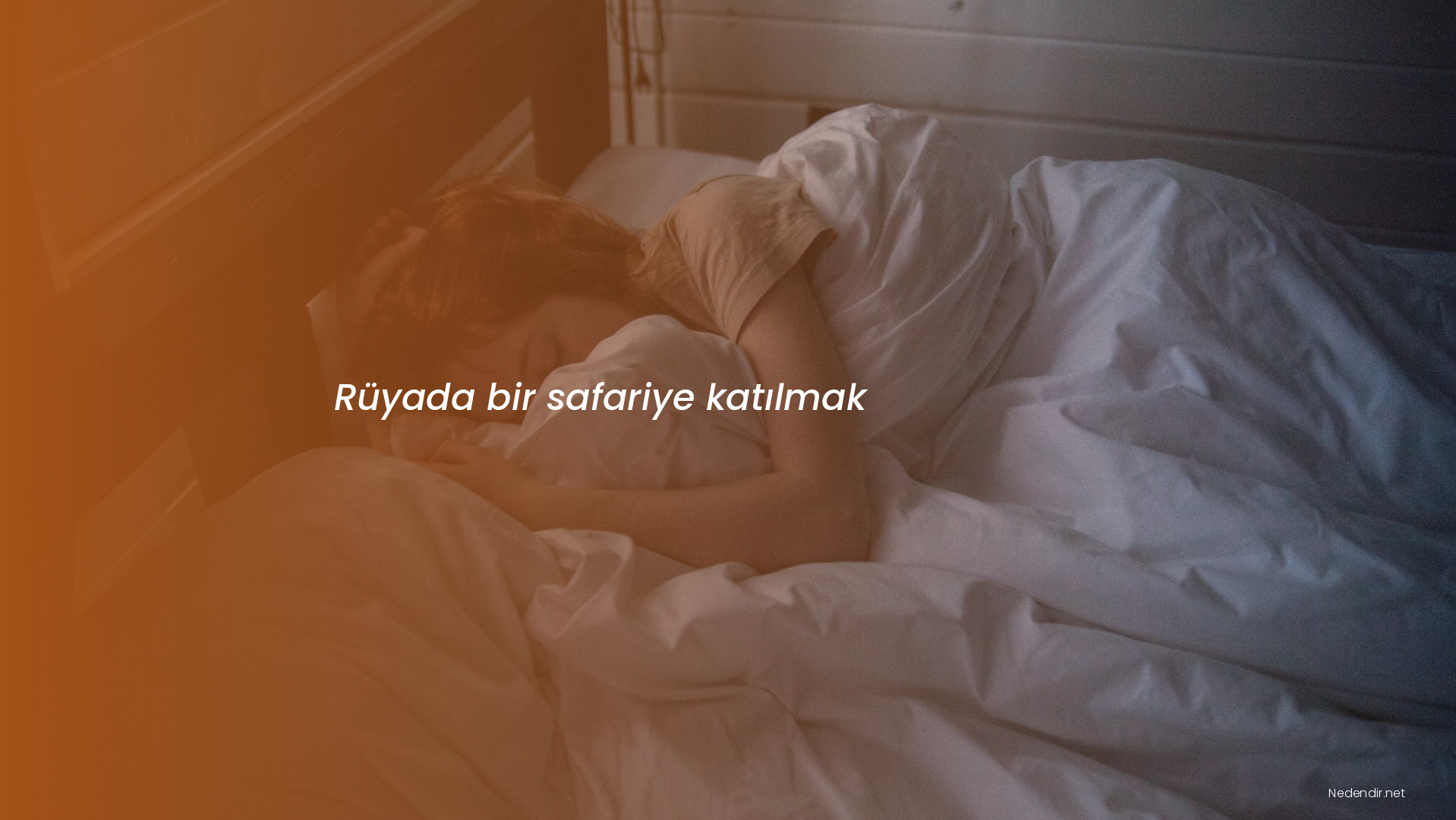 Rüyada bir safariye katılmak