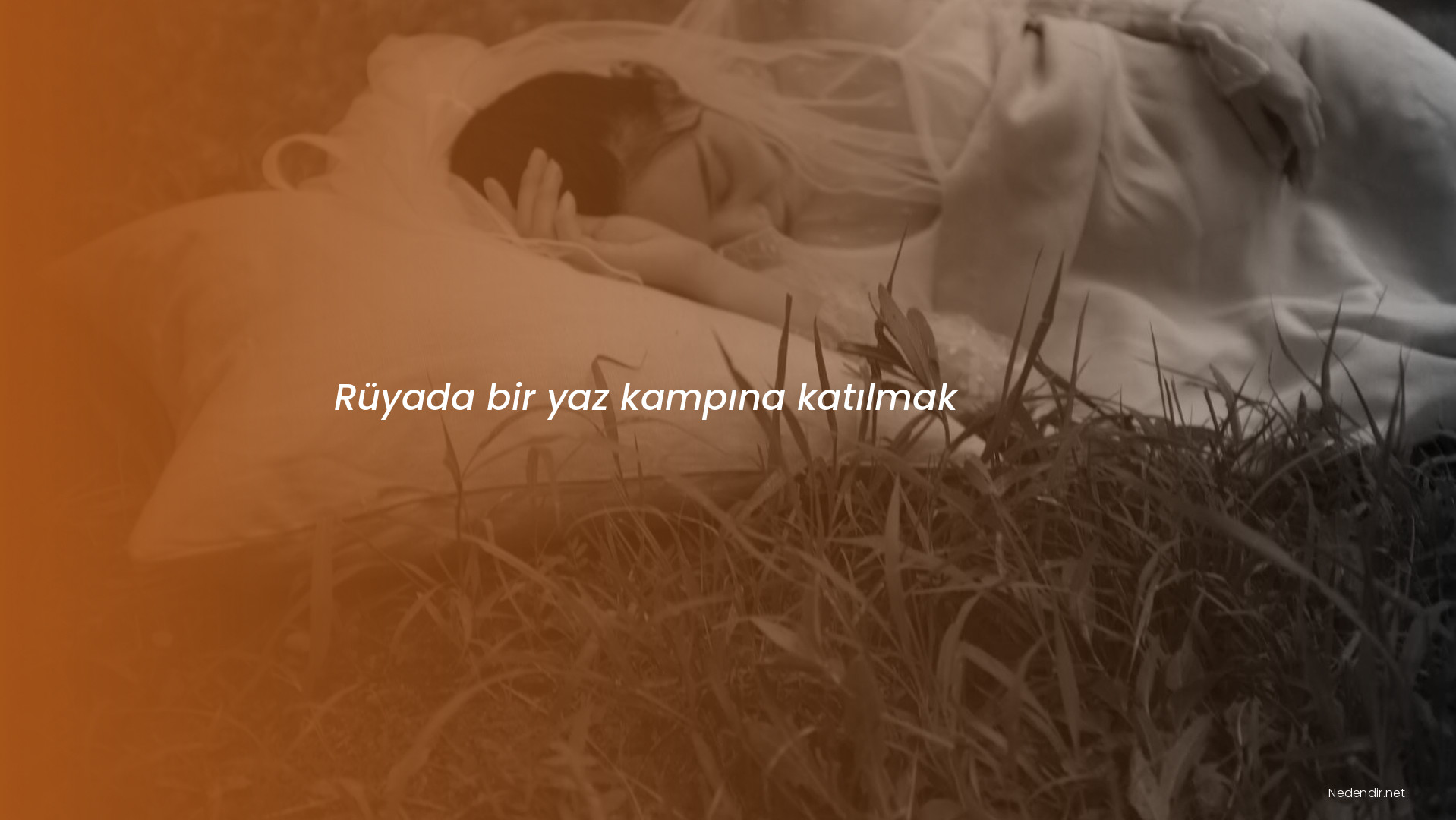 Rüyada bir yaz kampına katılmak