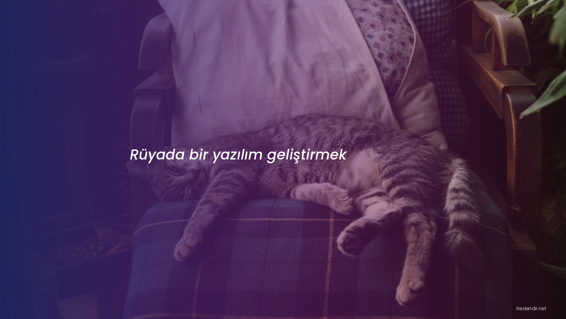 Rüyada bir yazılım geliştirmek