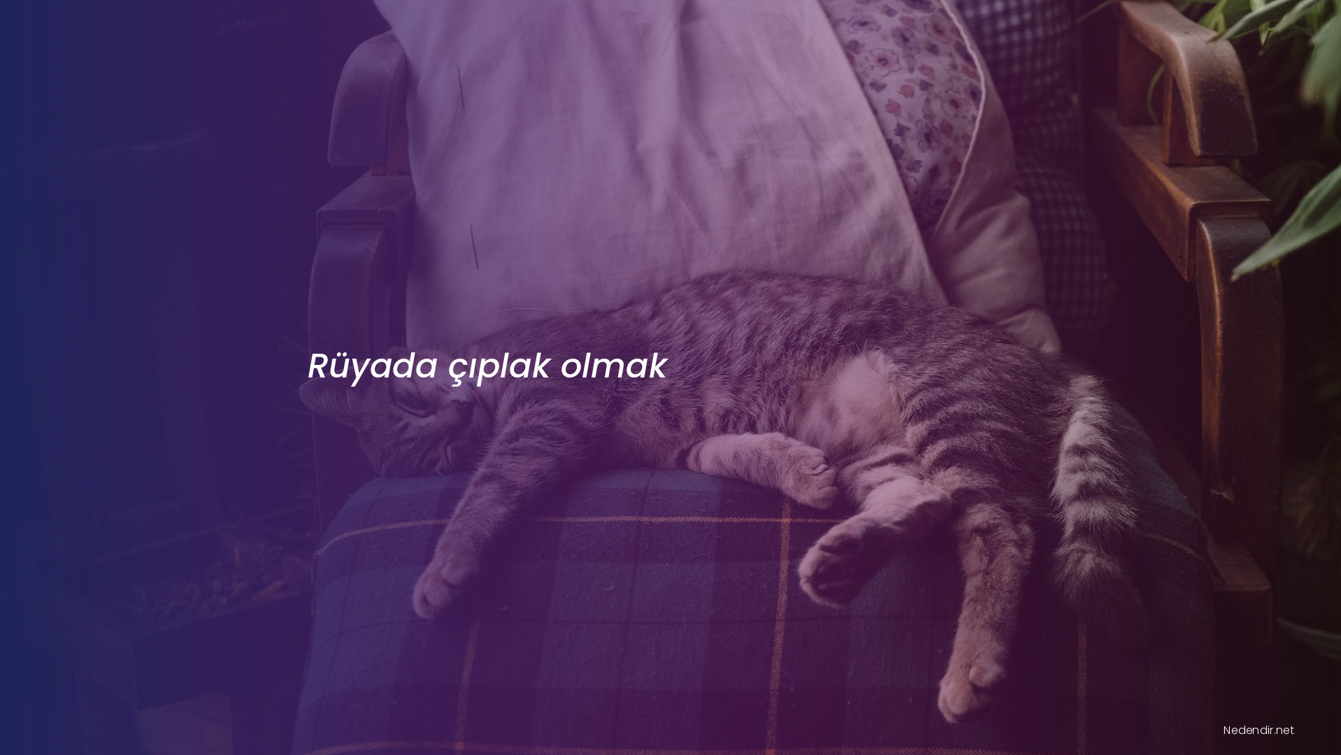 Rüyada çıplak olmak