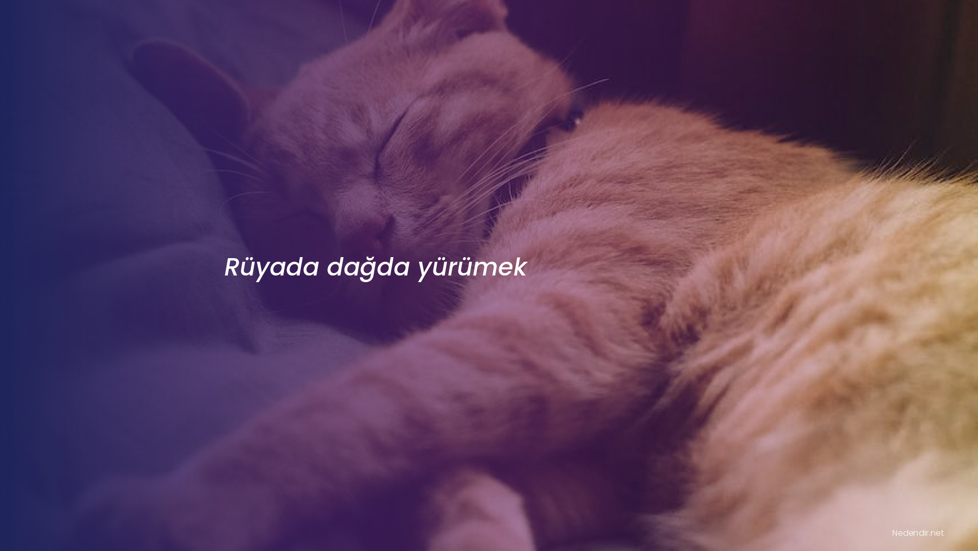 Rüyada dağda yürümek Rüyada dağda yürümek