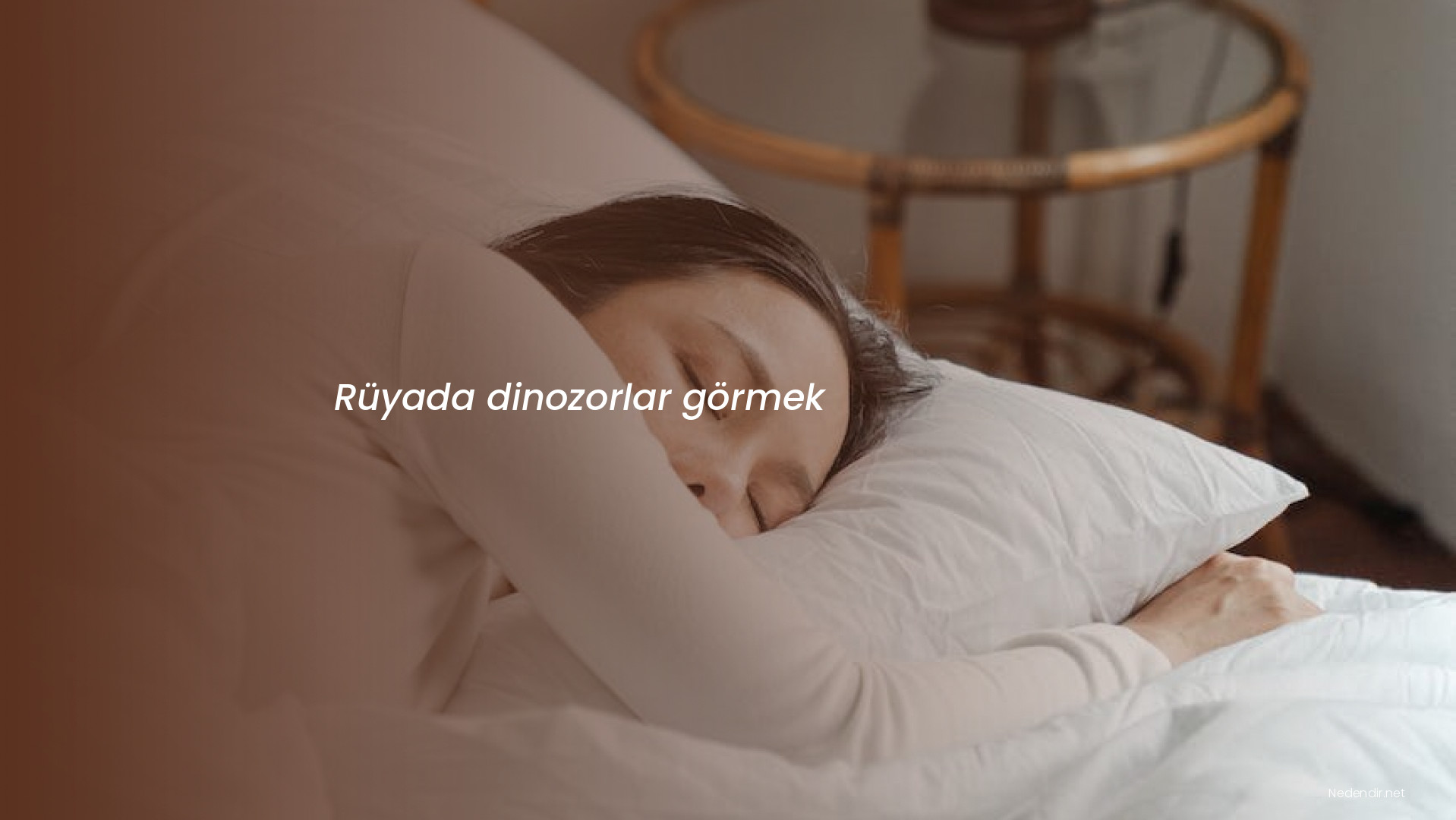 Rüyada dinozorlar görmek Rüyada dinozorlar görmek