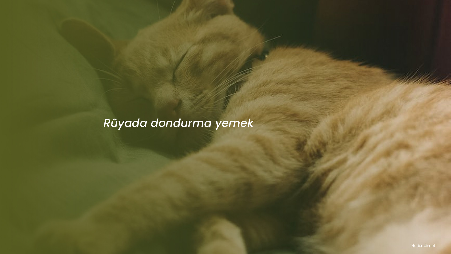 Rüyada dondurma yemek Rüyada dondurma yemek