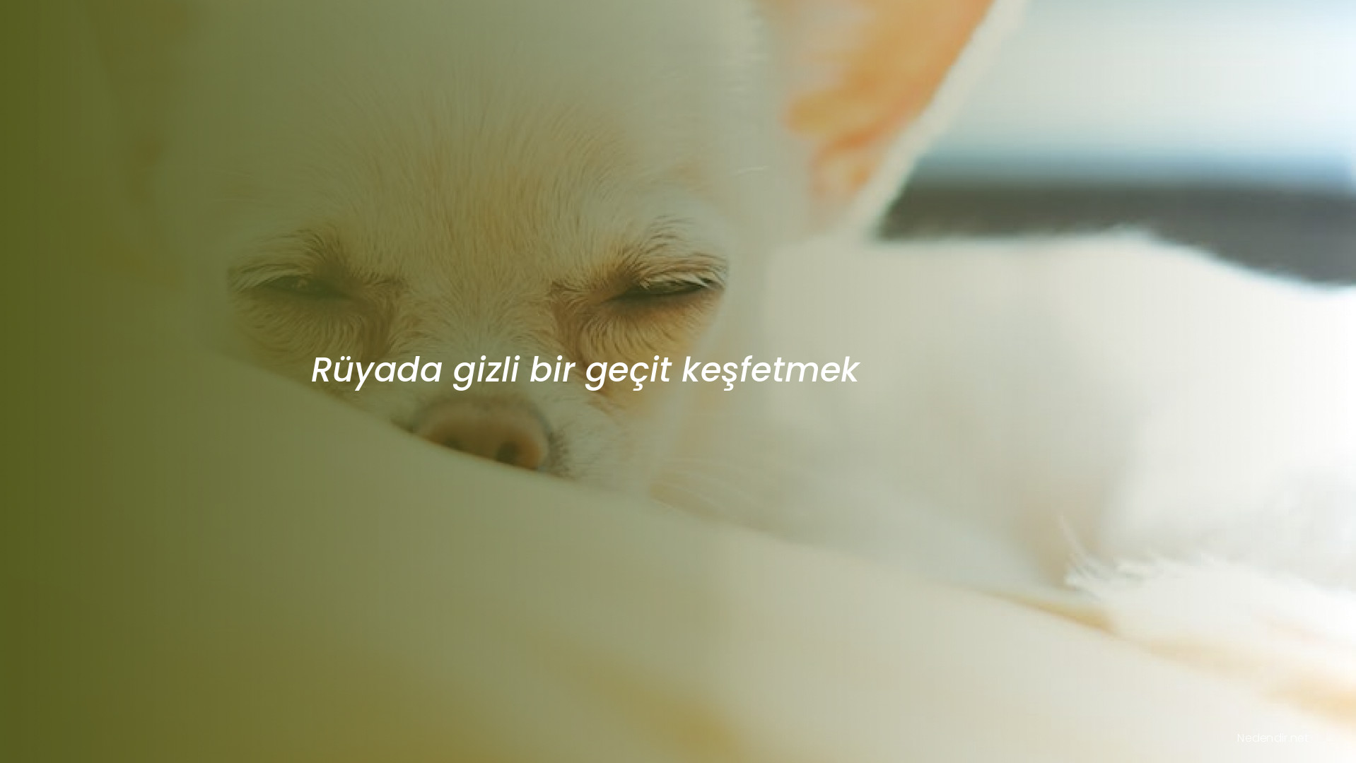 Rüyada gizli bir geçit keşfetmek