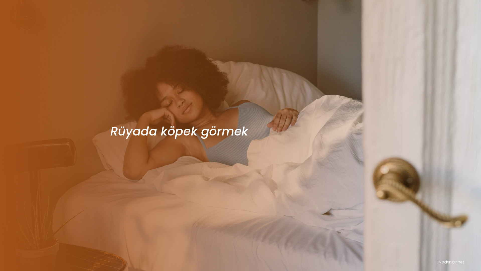 Rüyada köpek görmek