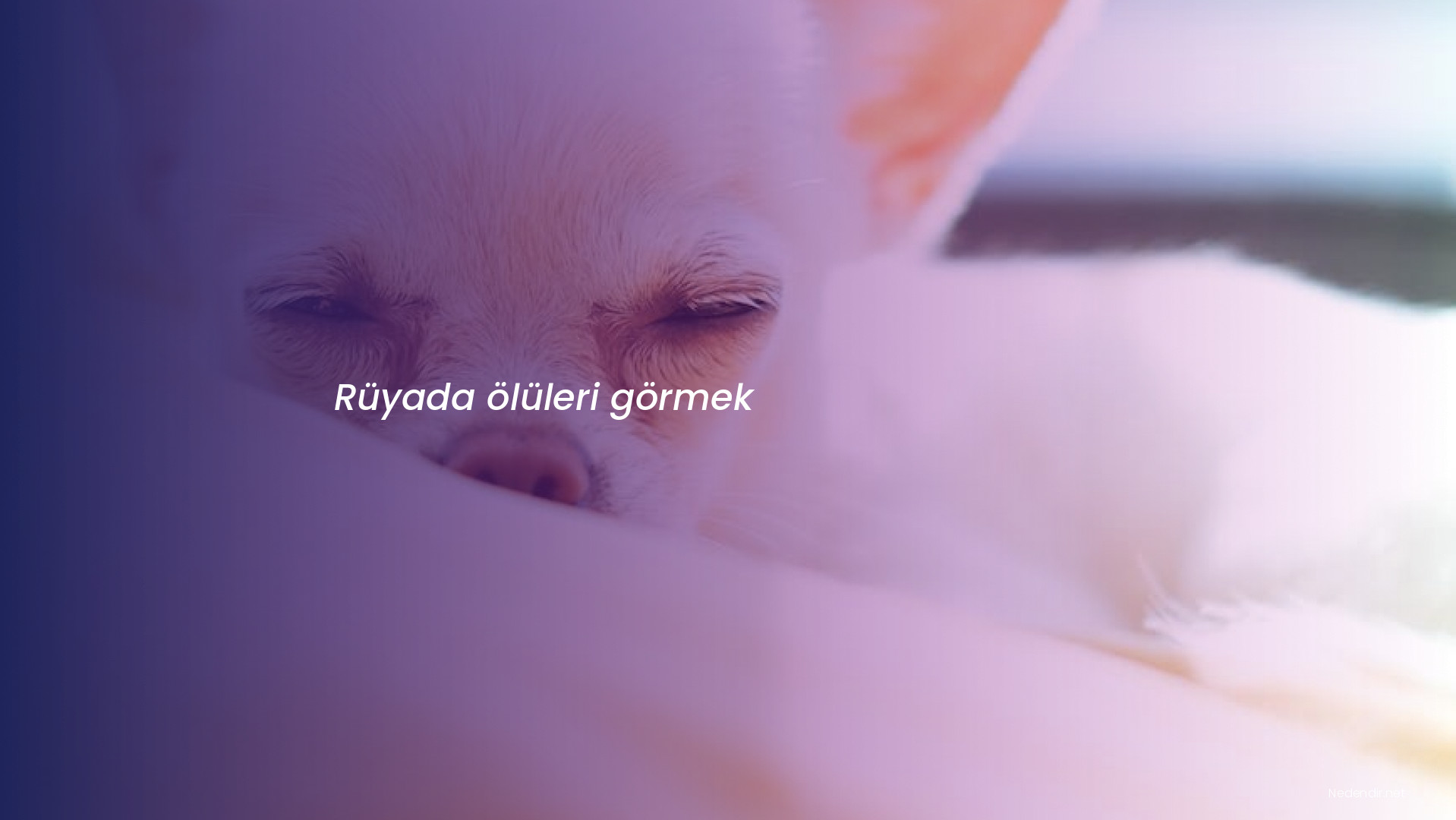 Rüyada ölüleri görmek Rüyada ölüleri görmek