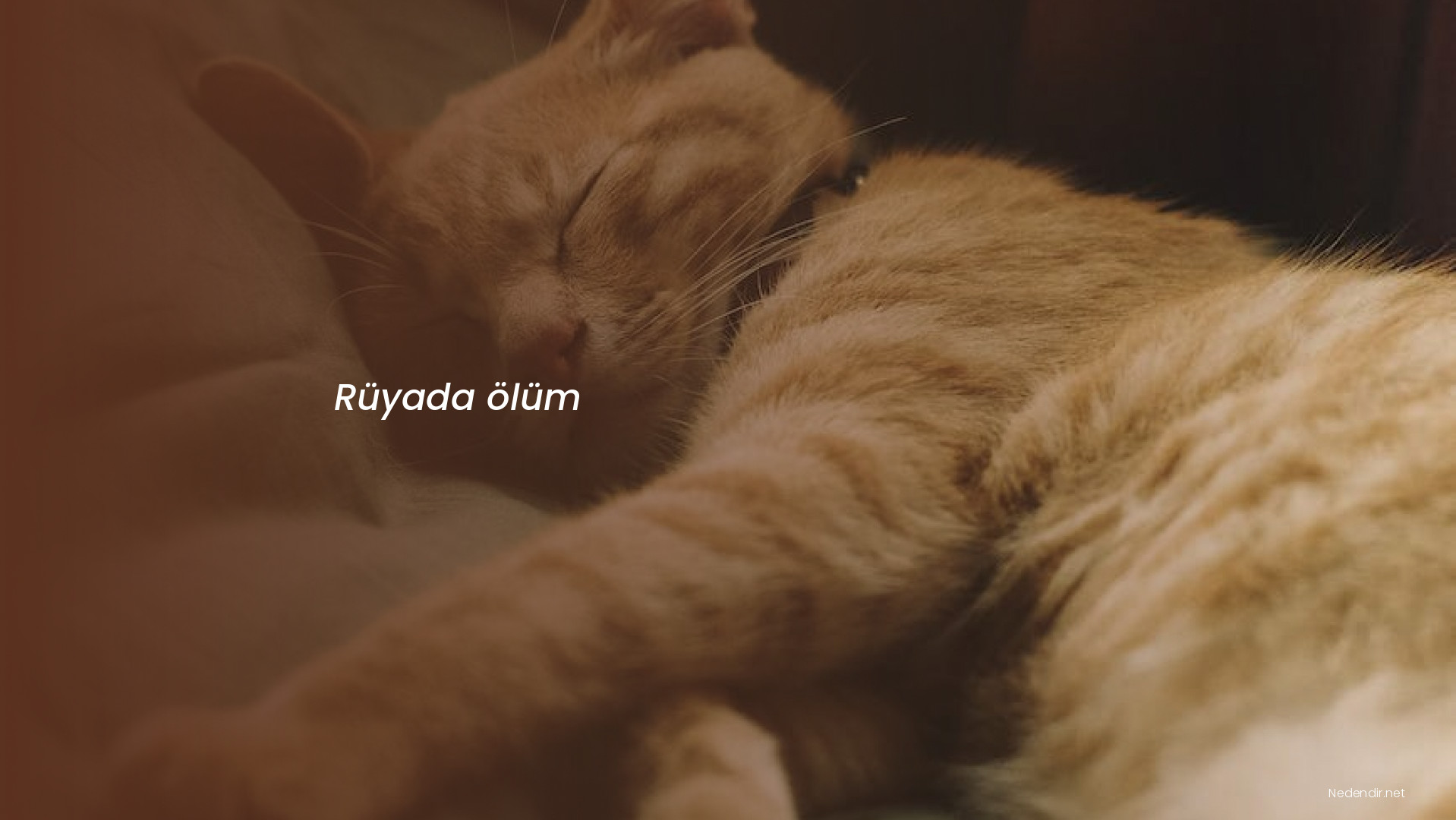 Rüyada ölüm