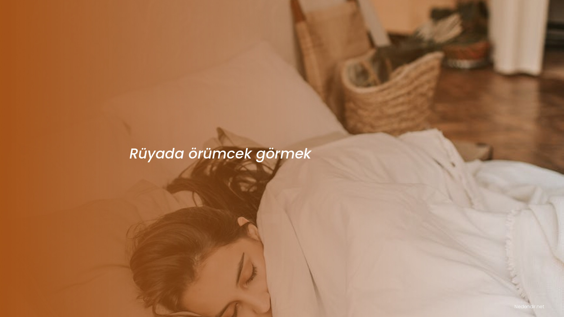 Rüyada örümcek görmek