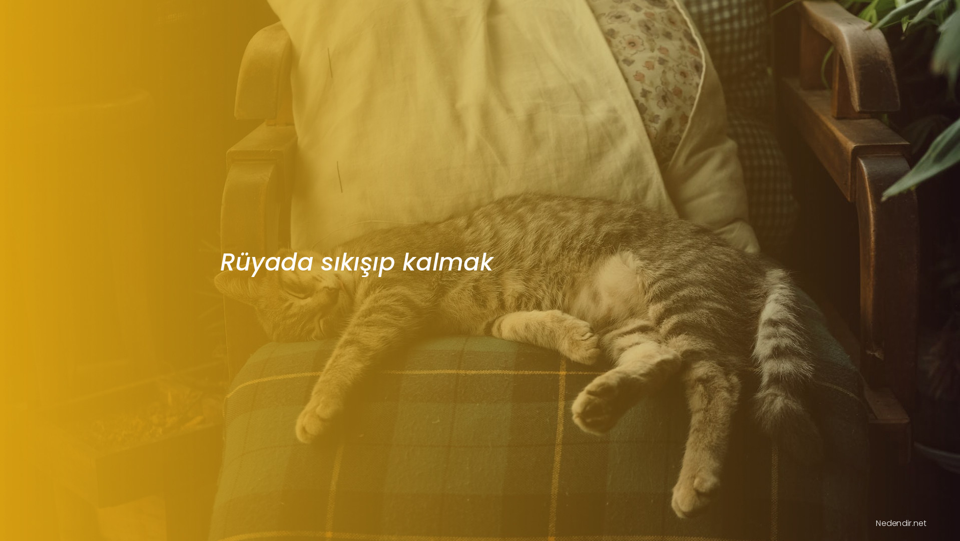 Rüyada sıkışıp kalmak